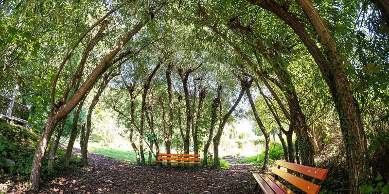 Der Natur-Erlebnis-Garten in Karben …