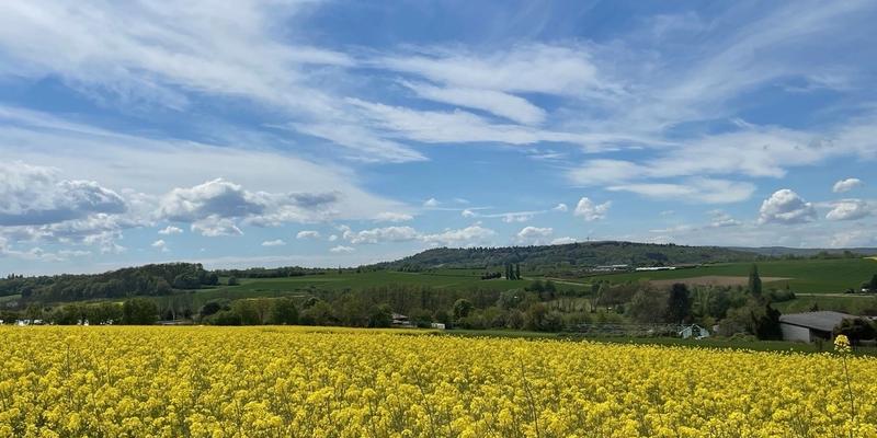 Radeln durch die Goldene Wetterau