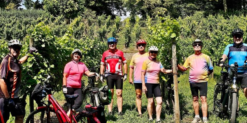 Picknicktour zum Frankfurter Lohrberg und Huthpark