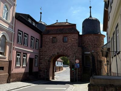 Mit kleiner Gruppe erfolgreich durch die Rhön