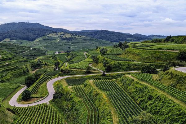 Weinberge und Steillagen