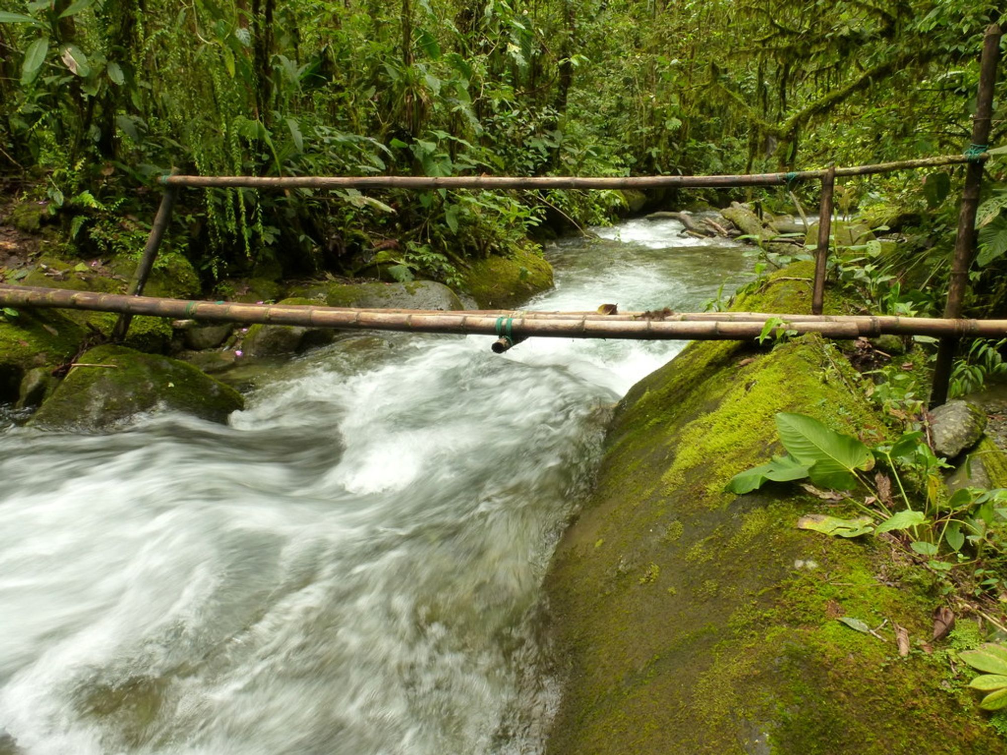 Wooden branches extend across a flowing river in Ecuador.