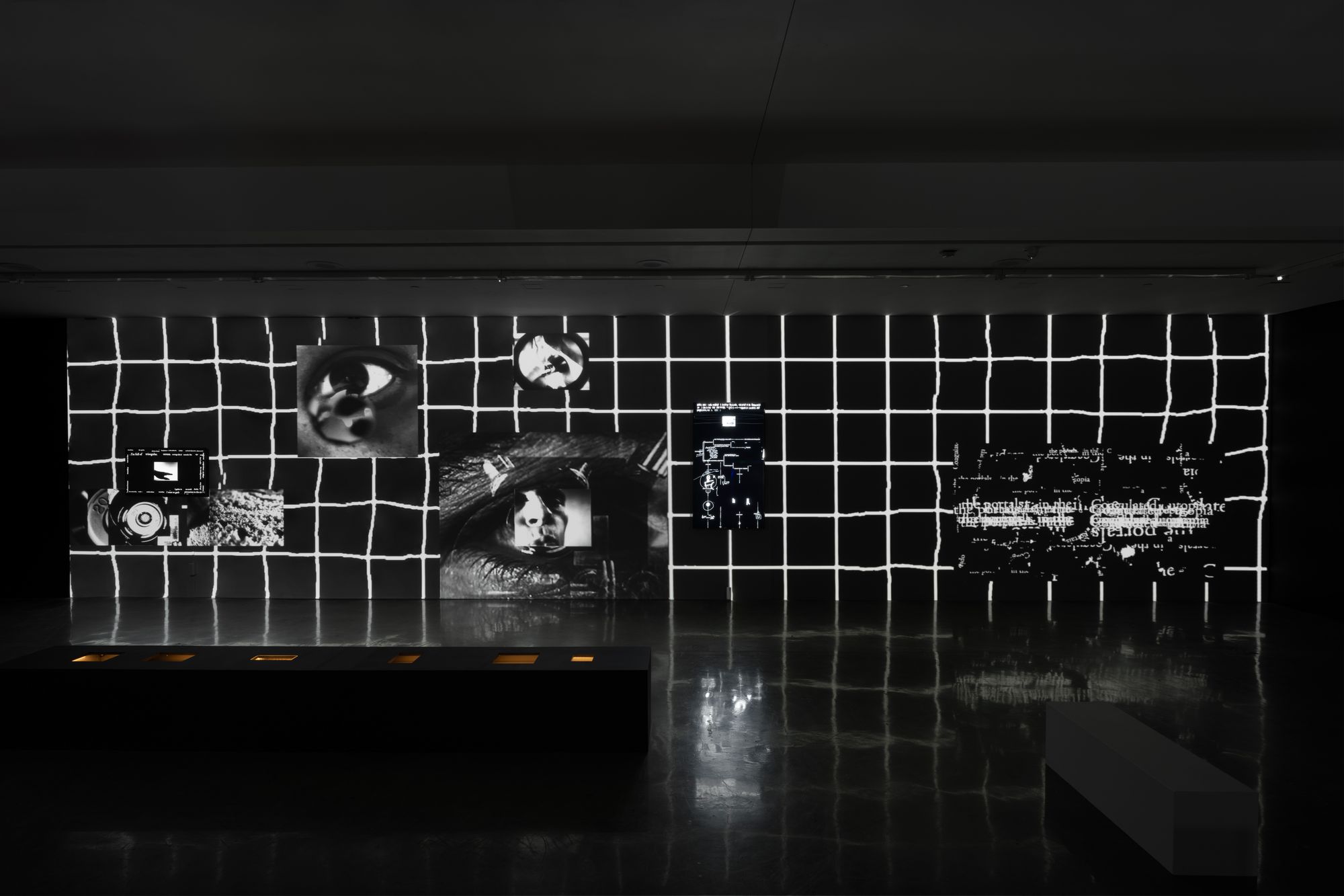 A dark gallery space covered in a white-on-black grid projection.