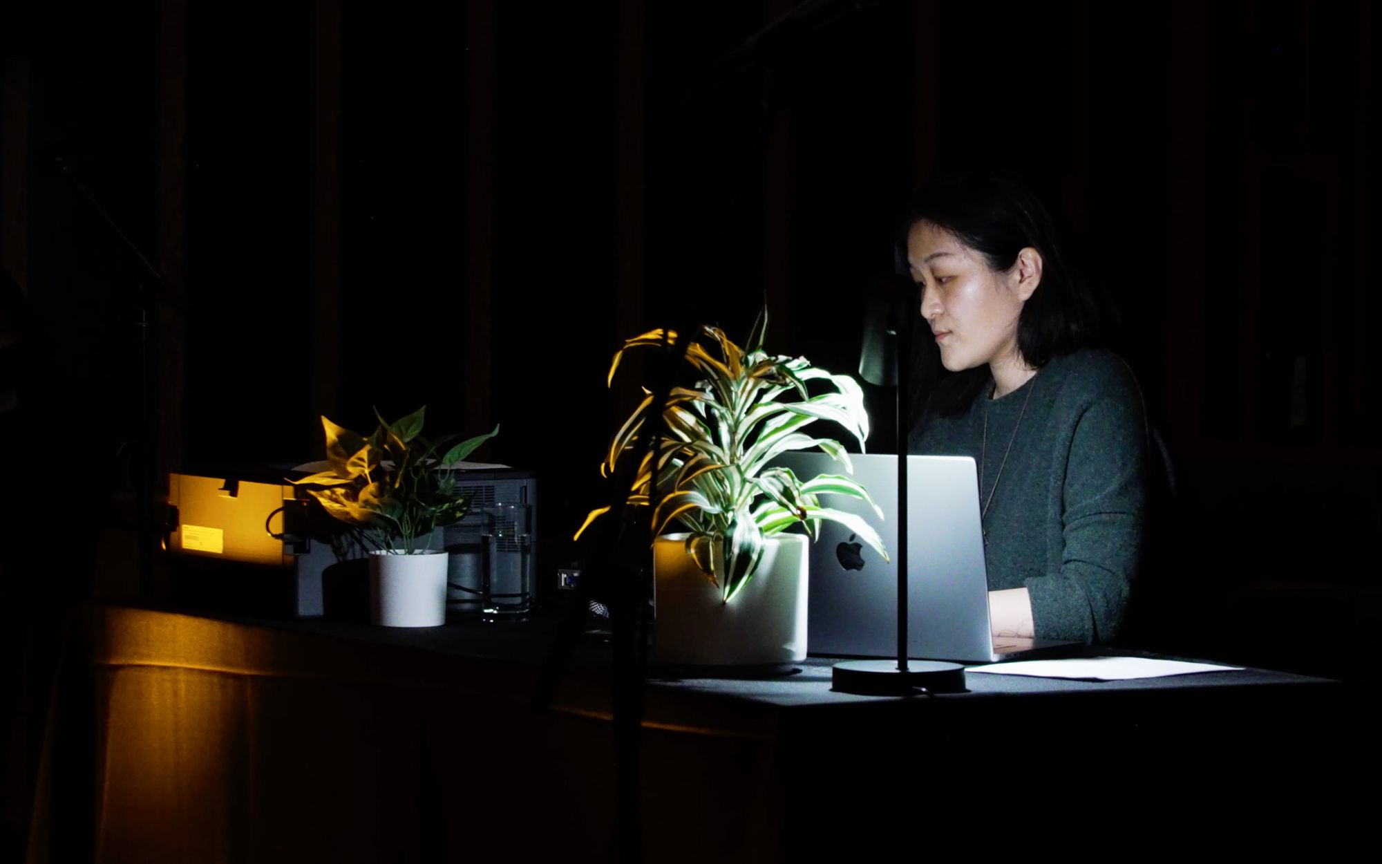 Carrie Wang sits in a dark room, with only a desk lamp lighting an office plant and the back of her laptop.