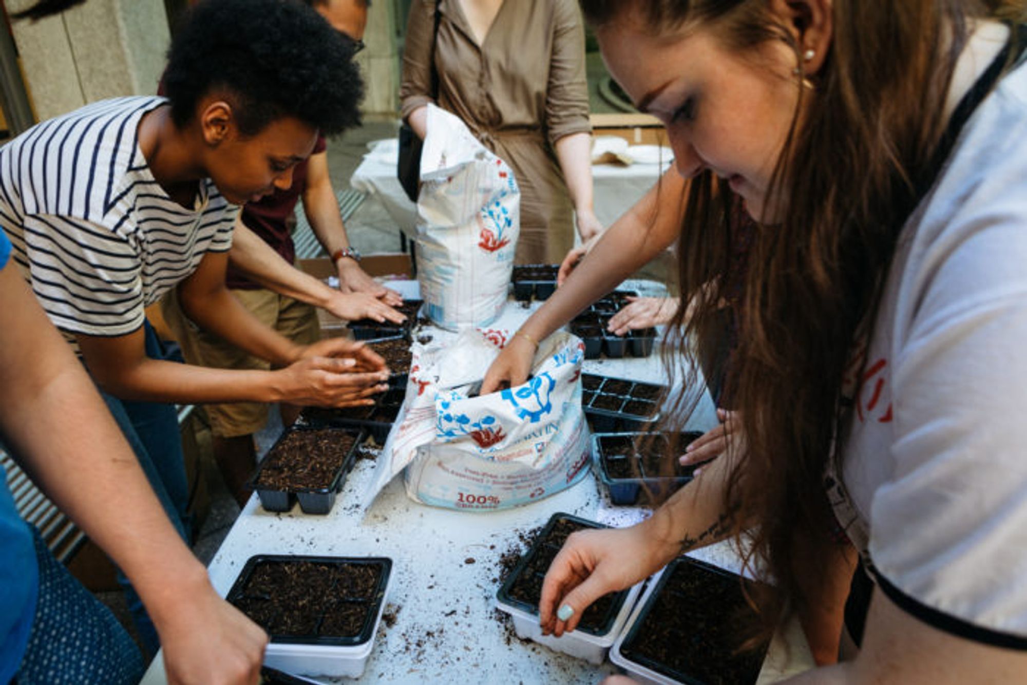 students packing dirt into seed containers