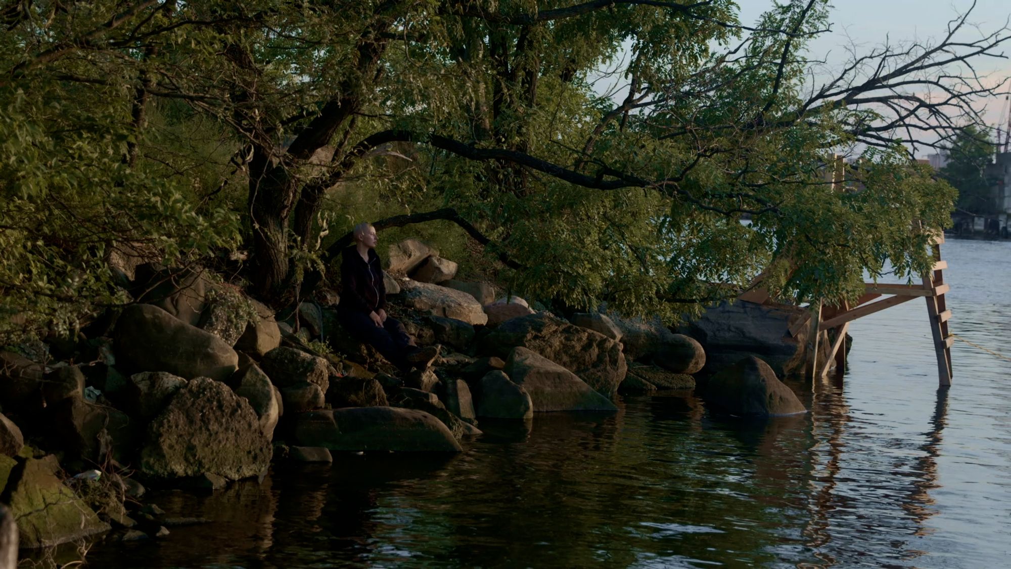 A figure looks out onto the water from a rocky shore. 