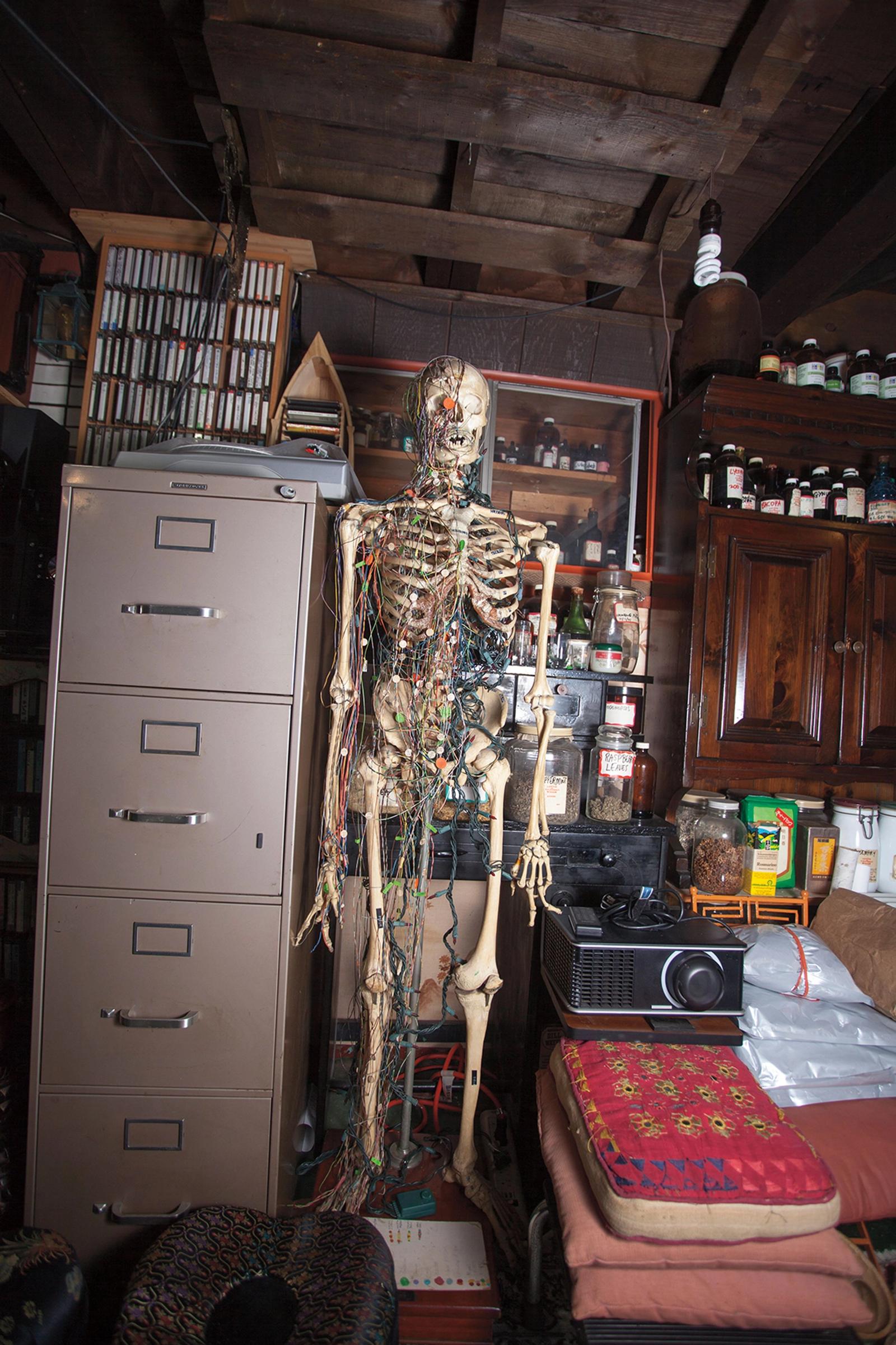 Acupuncture skeleton dealing with the biosciences and the energetic forces of regeneration