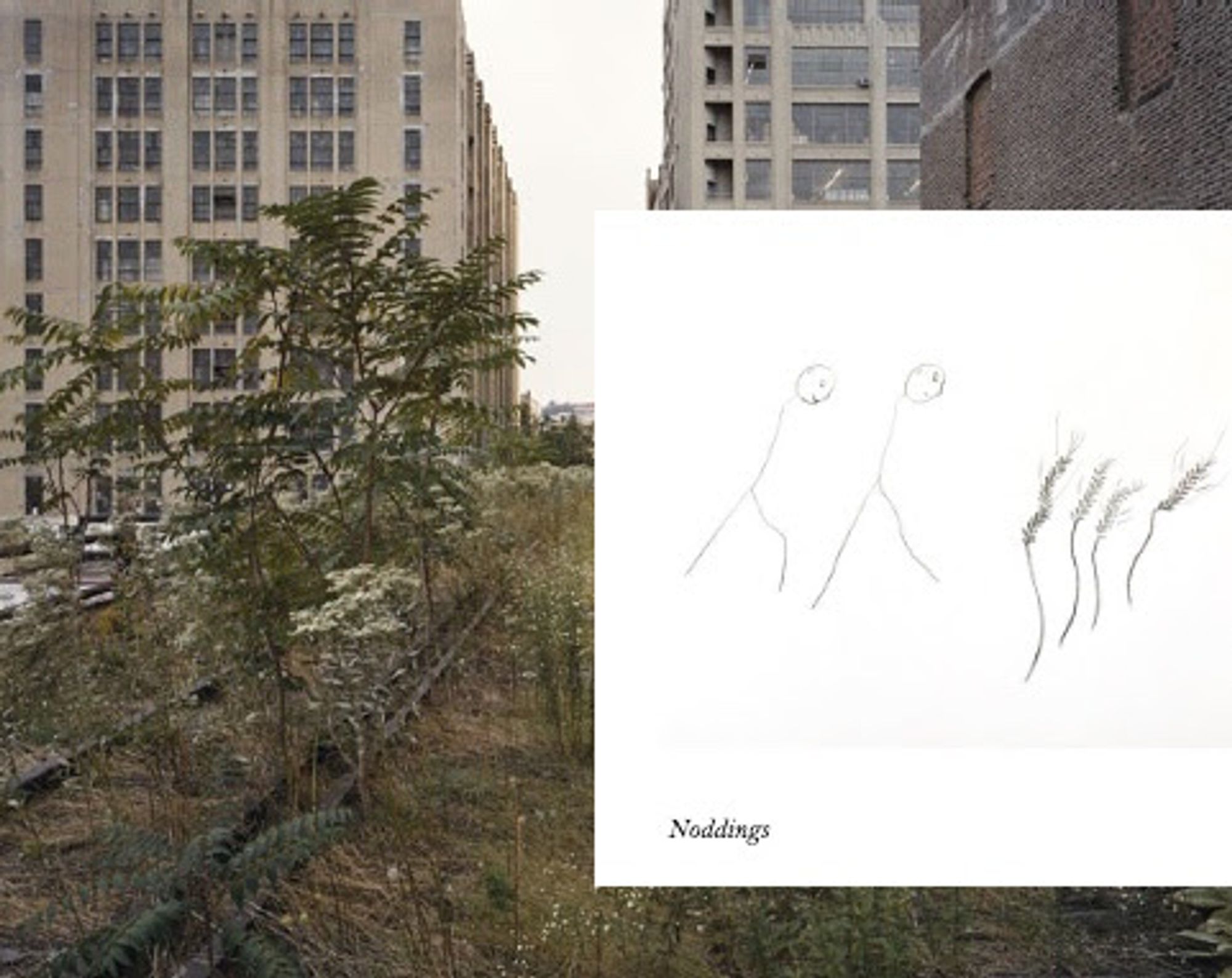 Ailanthus trees growing on a set of railroad tracks on The High Line, a white box with a line drawing of two figures moving towards four heads of wheat with the word "Noddings" italicized in the lower left corner