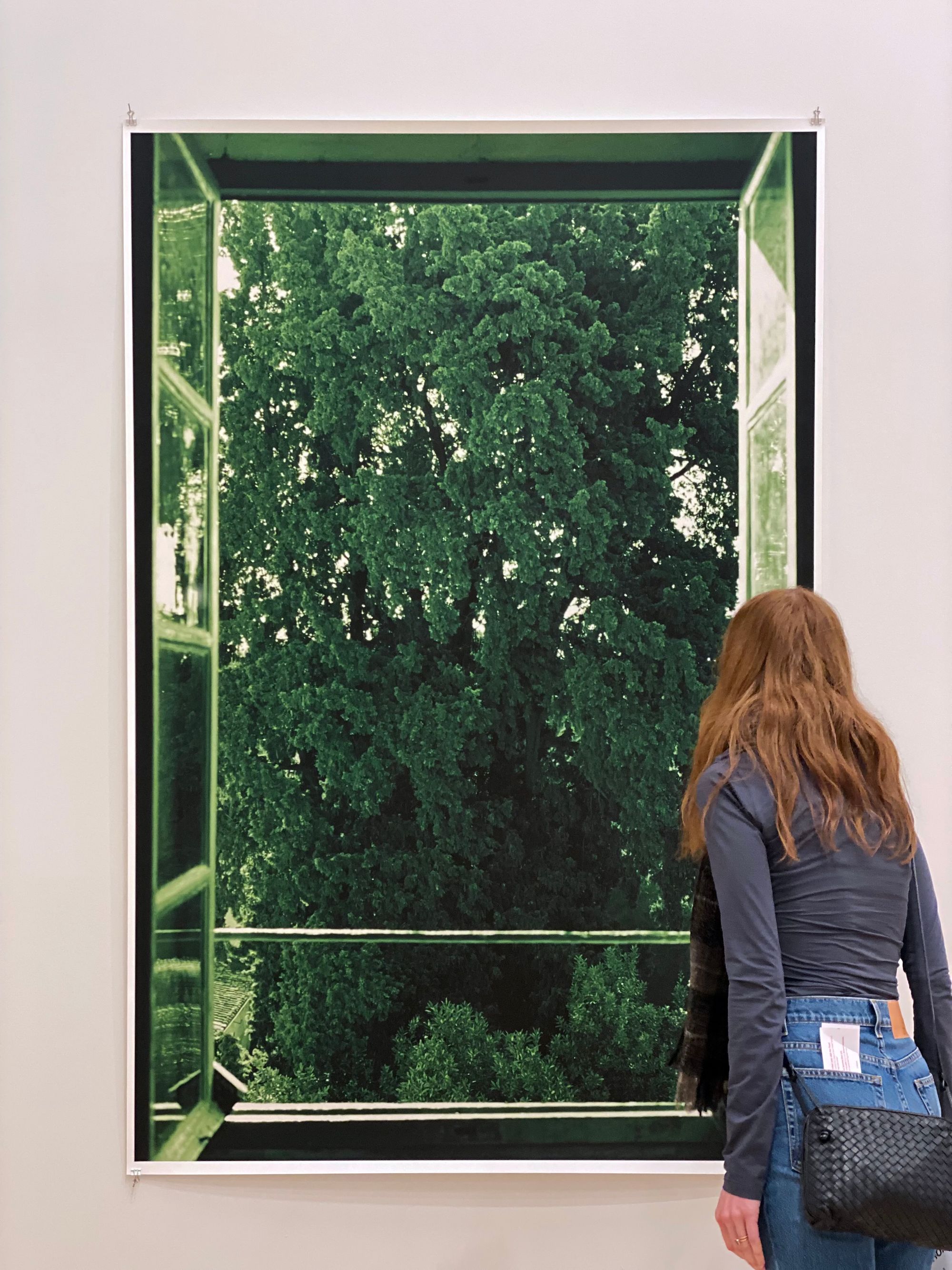 A woman with reddish, brown hair peers into a photograph of a window, staring at the greenery rendered in its frame.