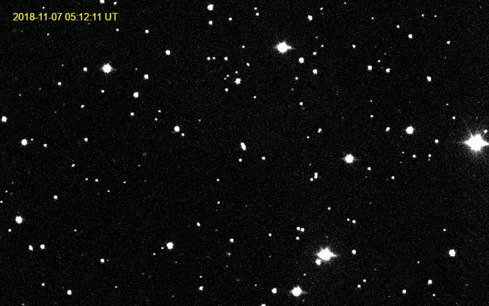 A gif of an asteroid moving across the night sky