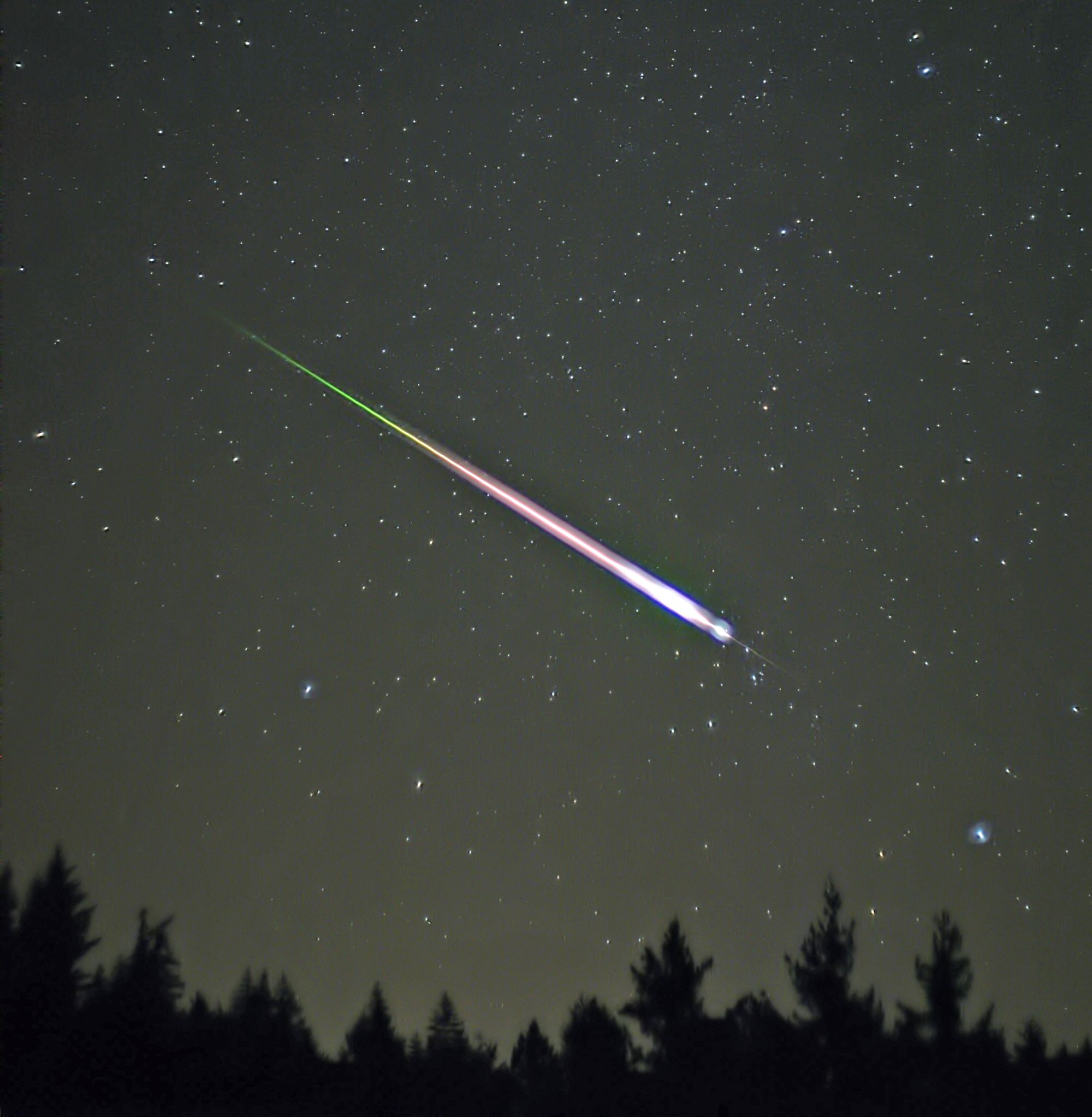 A meteor falls through the night sky, seemingly towards trees seen at the foot of the frame.