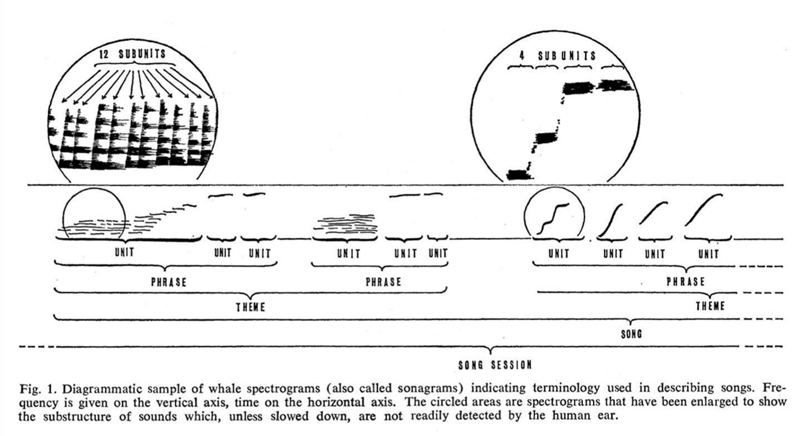 A drawing from Roger Penrose called "Gravitational Collapse and Space-Time Singularities"
