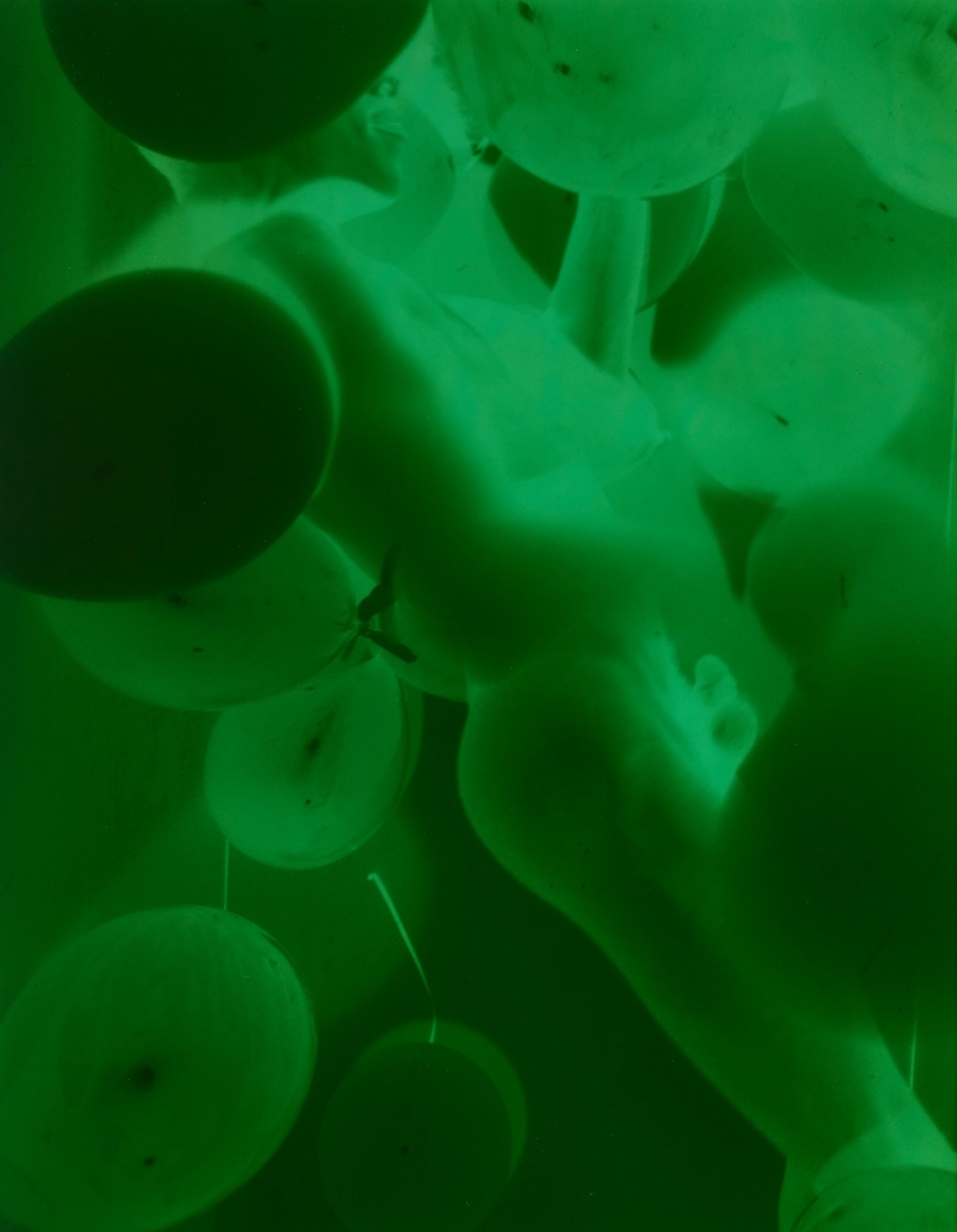 Green balloons surrounding a plastic body