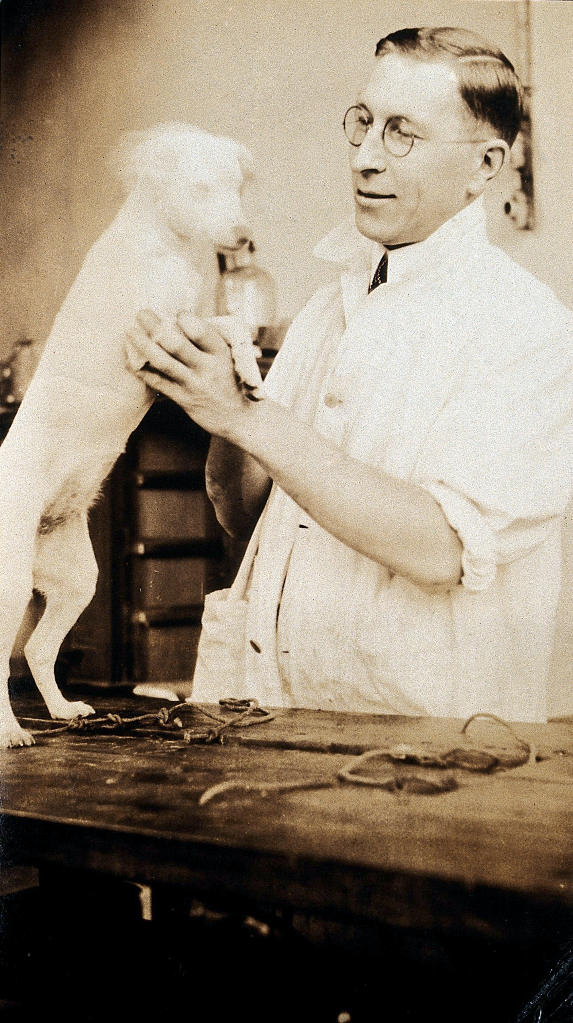 Frederick Grant Banting photograph of him holding a white puppy.