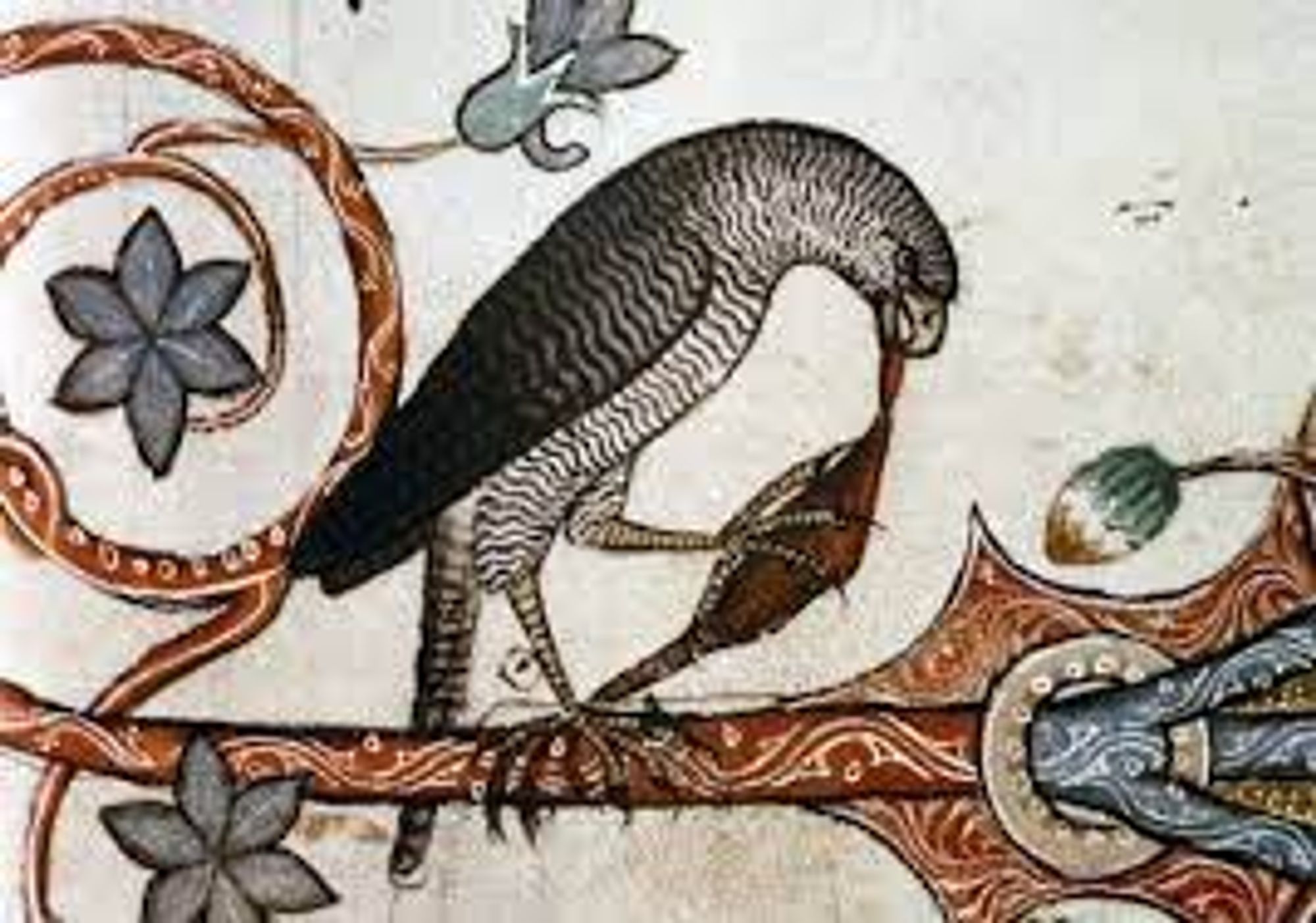 Medieval manuscript illustration of a falcon eating a small rodent.