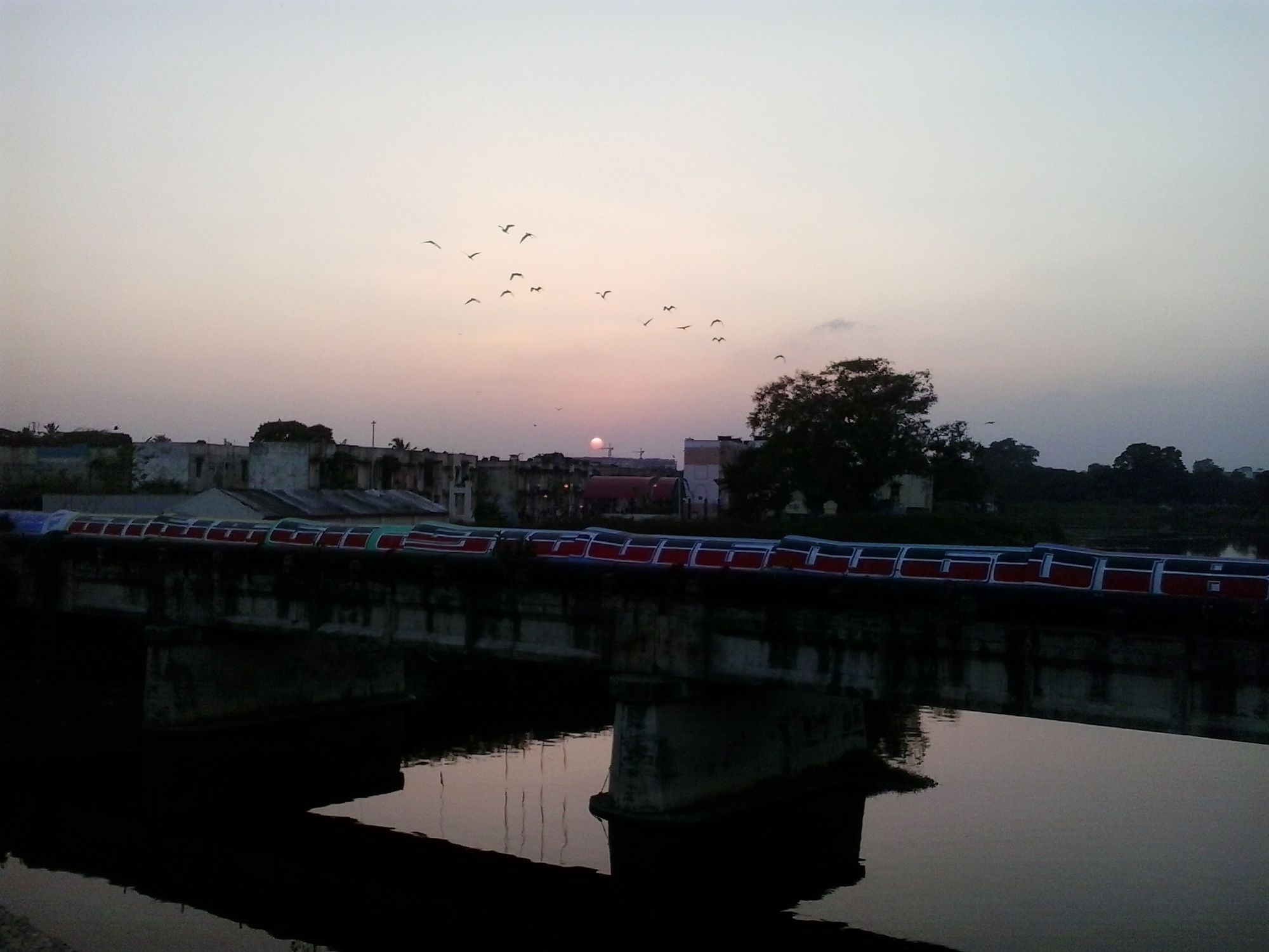 A milky sunset at Adyar River in Chennai.