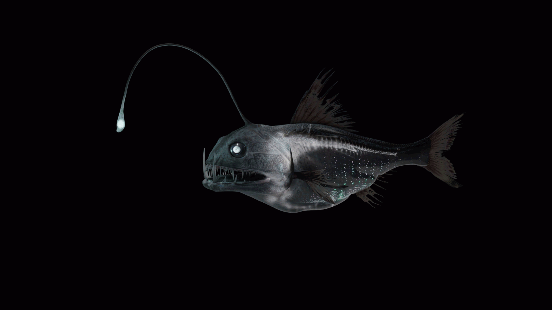 Science & Society: The Ocean Frontier