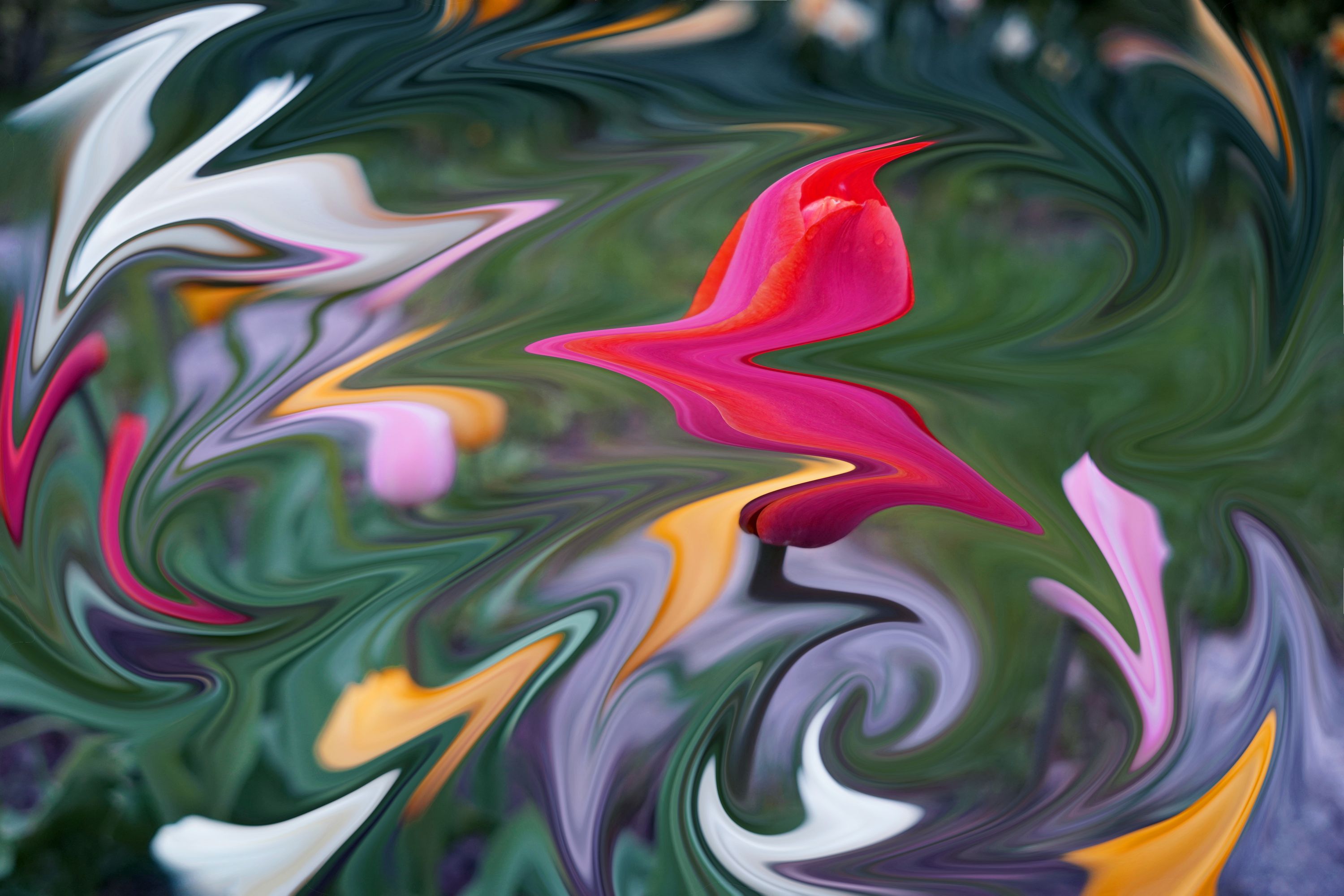 trippy tulips