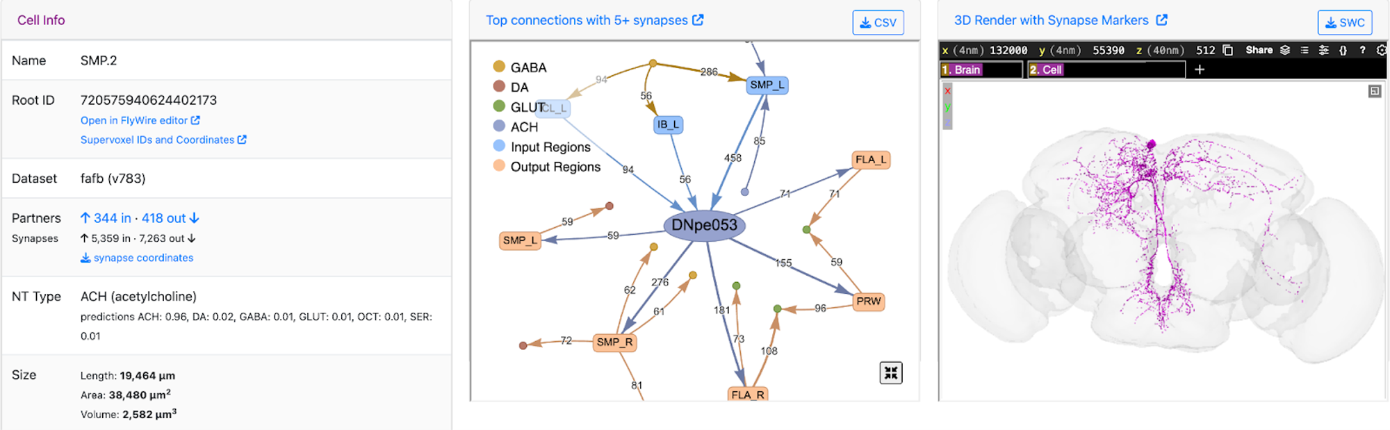 A screenshot of a neuron's page on Codex, wherein the far left window contains typed data, the middle window reveals its chemical diagram, and the third shows it scanned within the brain. 