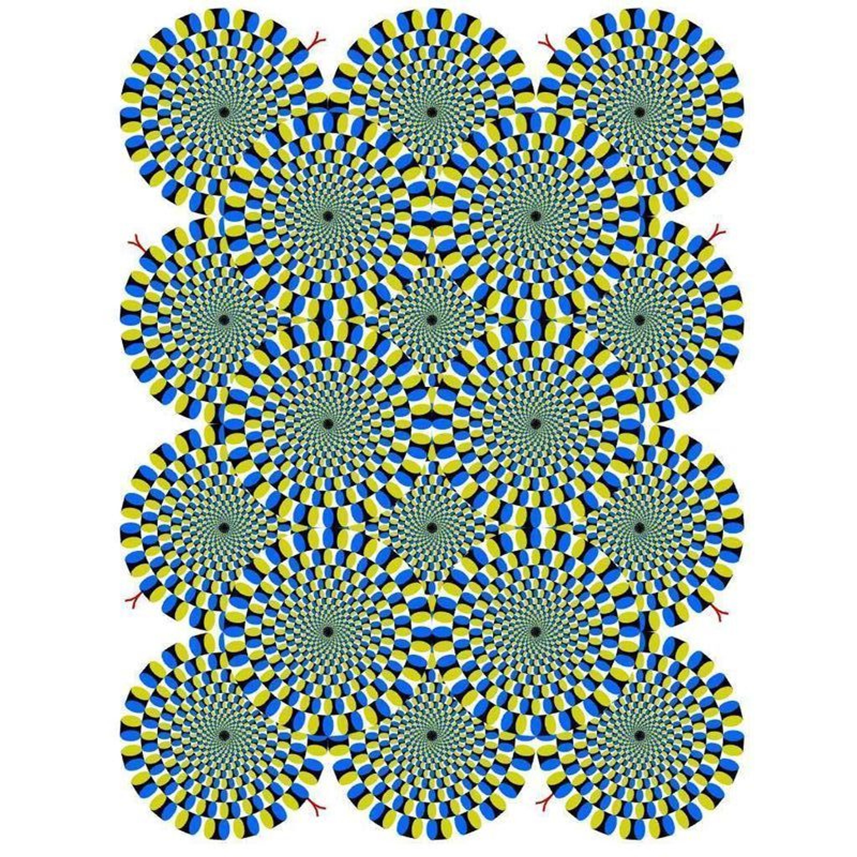 visual illusions psychology perception