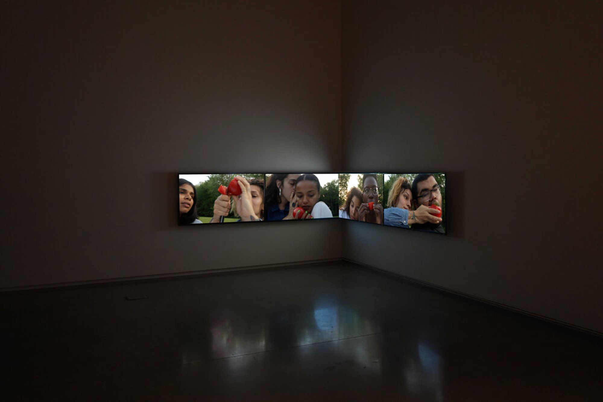 Installation view of Tomatoes (Skowhegan, ME) (2020), from the exhibition from the exhibition Unnamed for Decades, Center for Maine Contemporary Art.