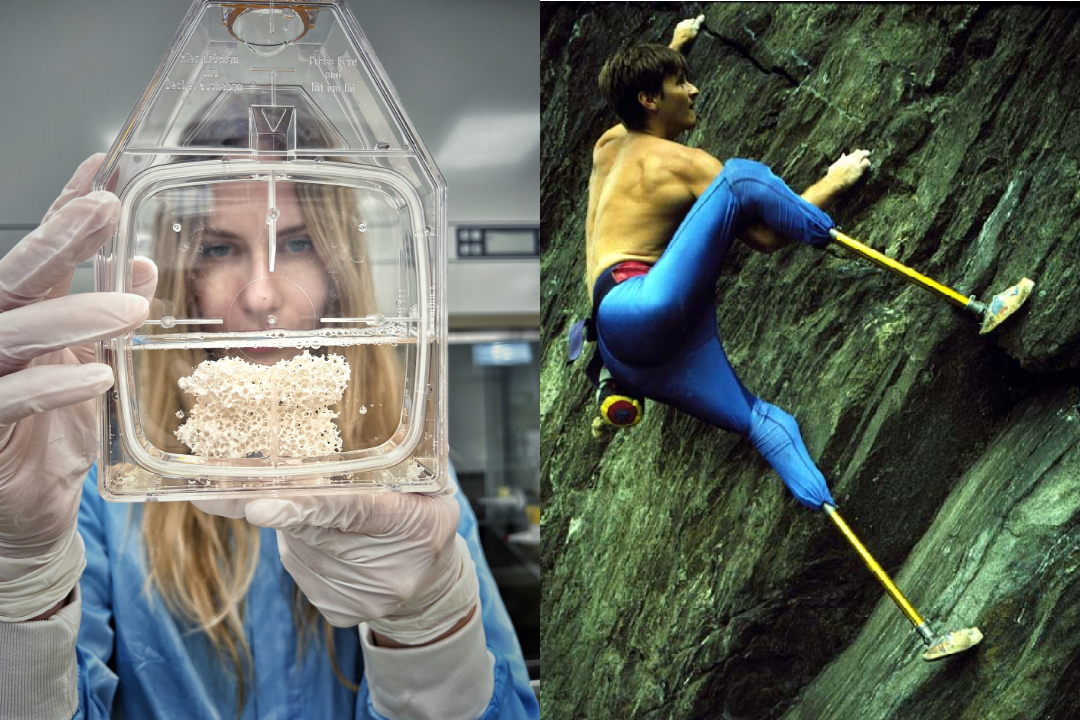 Image for Body Alchemy with Hugh Herr and Ana Rajčević