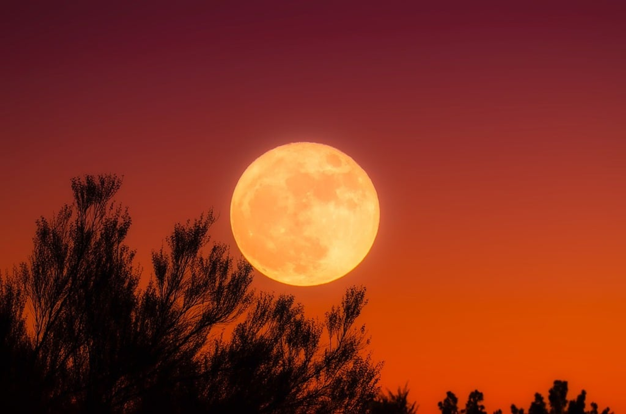 Picture of a full harvest moon in front of a red/orange sky 