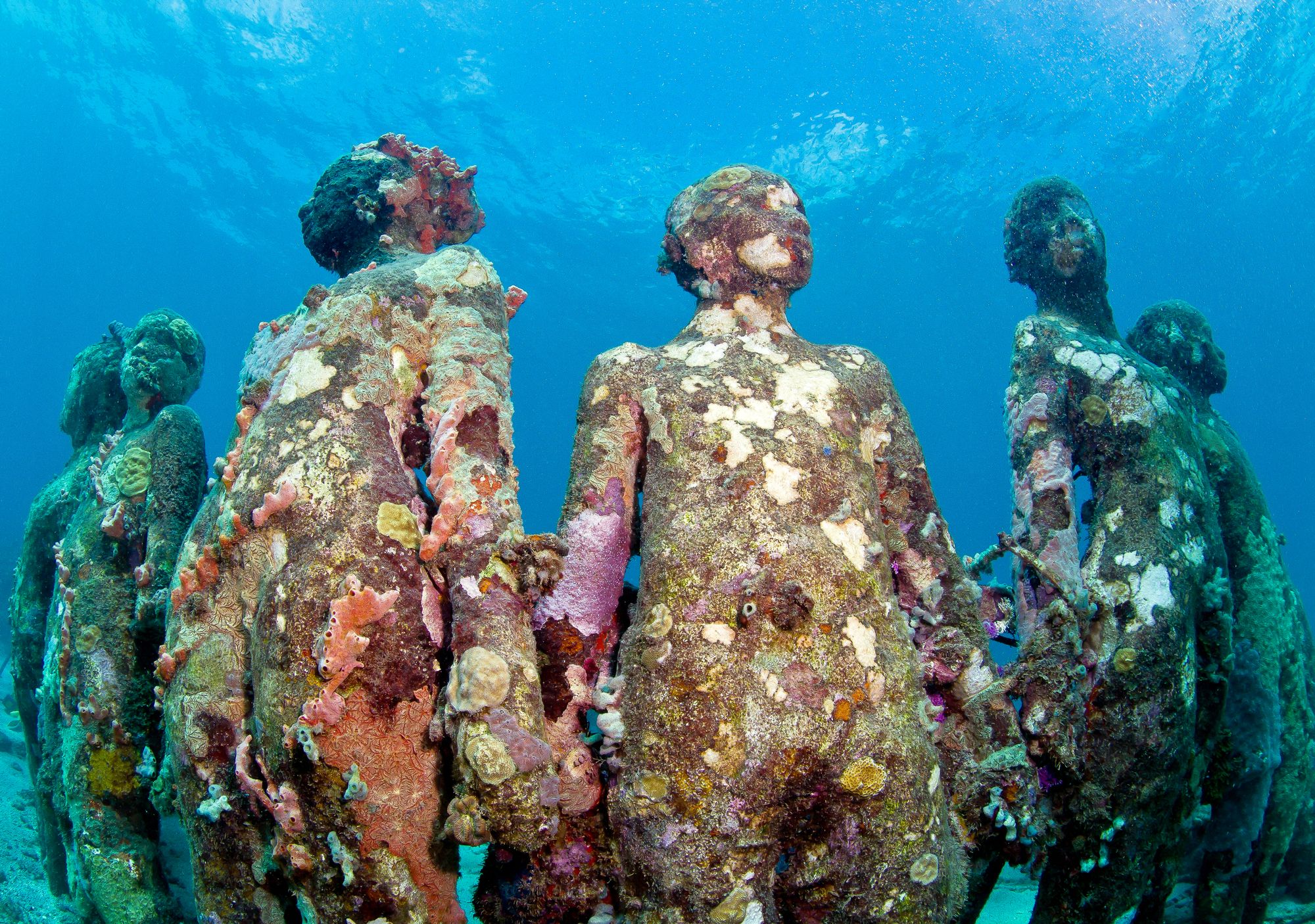 Human statues line the ocean floor, covered in sea life and vegetation. 