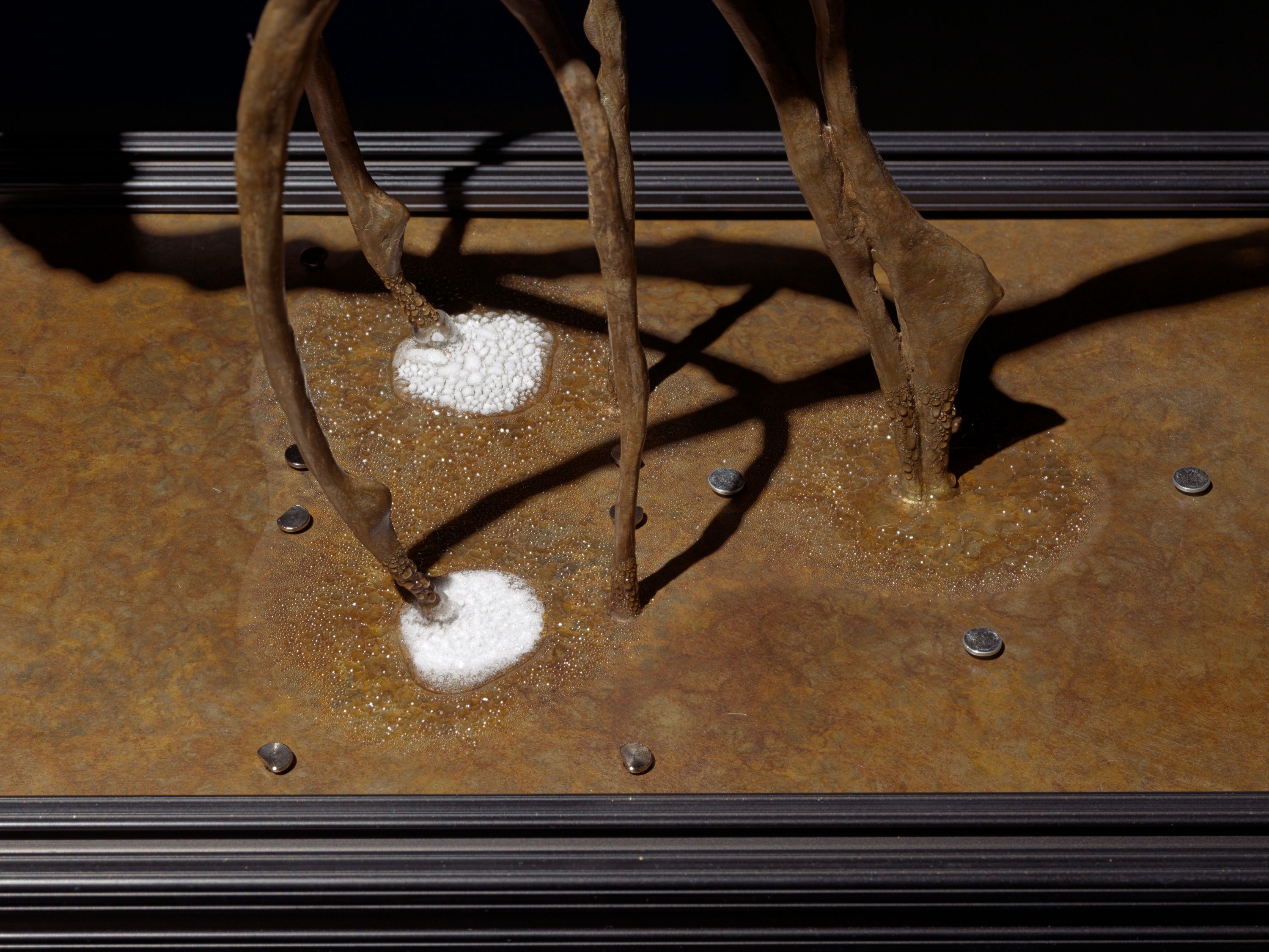 ターニングポイント　LopNur　Jason Liu新シグネチャー ターニングポイント LopNur Jason Liu新シグネチャー CYAN MAN 10月号