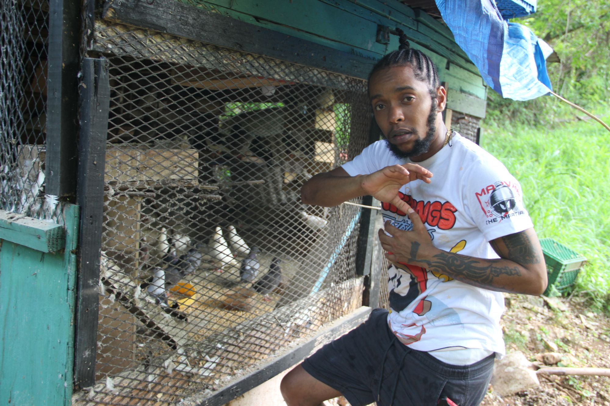 A man signals with his hands in front of an outdoor dove cage, gazing into the camera.