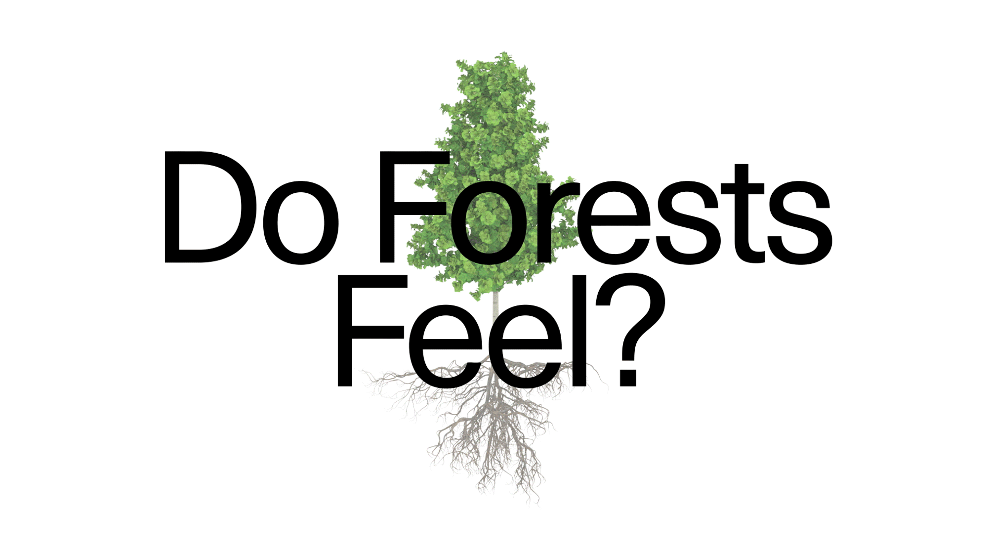 Image for Science & Society: Do Forests Feel?