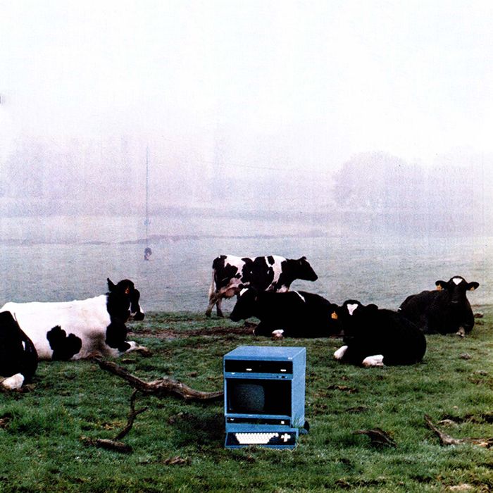 A large blue computer from the '80s placed in a fogy green pasture full of cows.