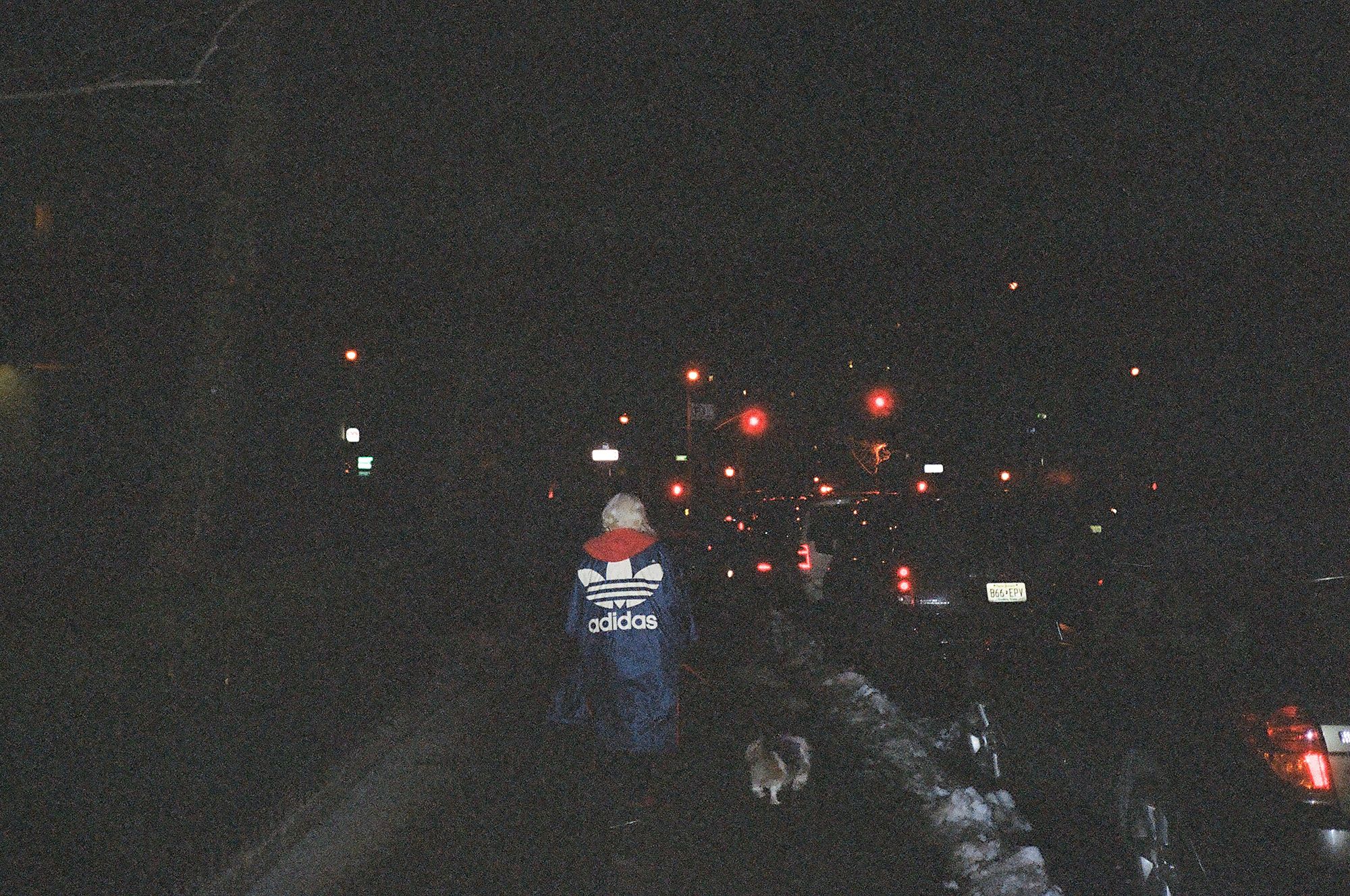 Person walking a dog in the dark