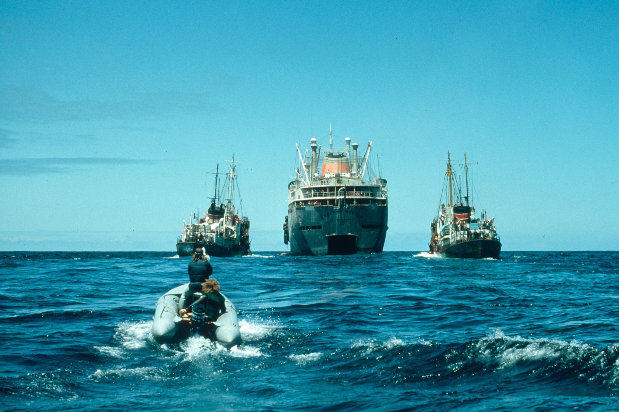 Greenpeace Zodiac approaching Russian whaling fleet, the Dalniy Vostok, and harpoon boats as part of the Project Ahab campaign in the North Pacific.