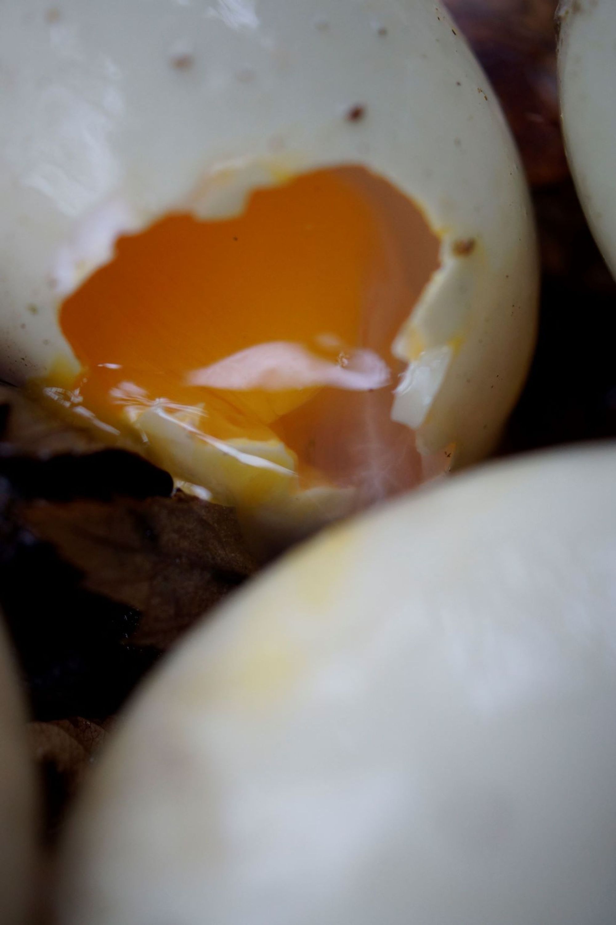 A cracked duck egg showing yolk