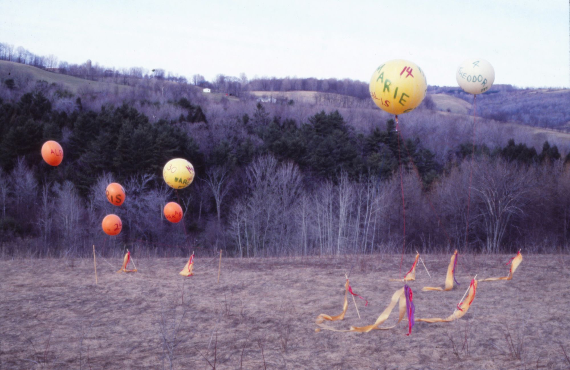 Balloons with written text hover above a cold spring mountainside where the grass has not yet grown back.