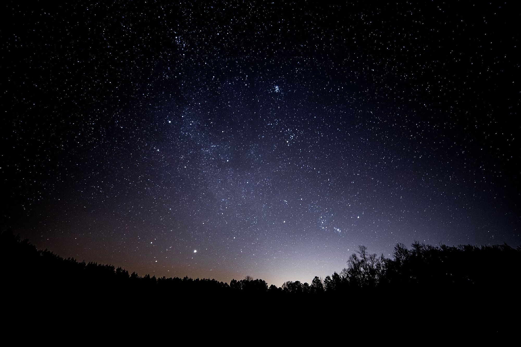 View of silhouette of woods and bright night sky above, with many stars.