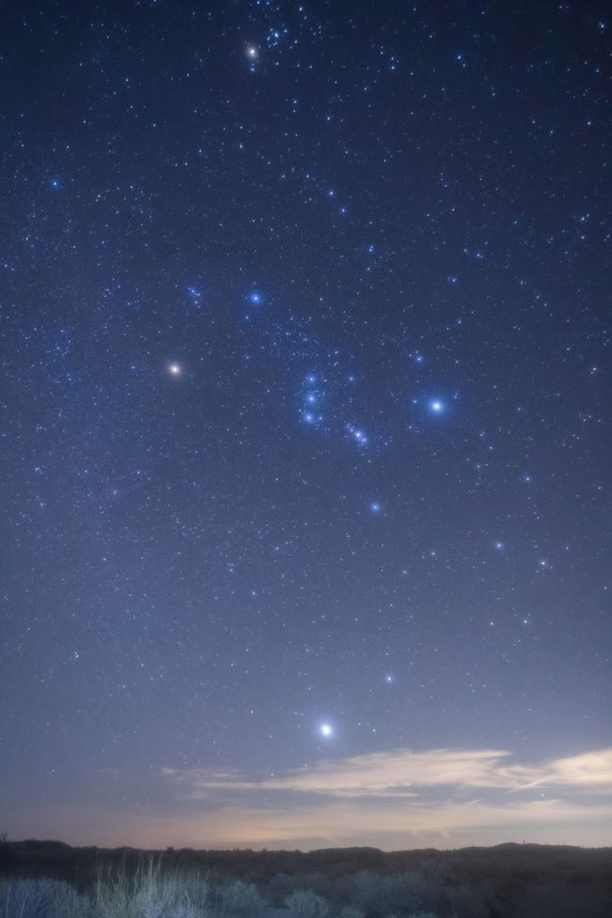 The constellation Orion the Hunter and the star Sirius rising above the eastern horizon in the Anza-Borrego Desert State Park, California.