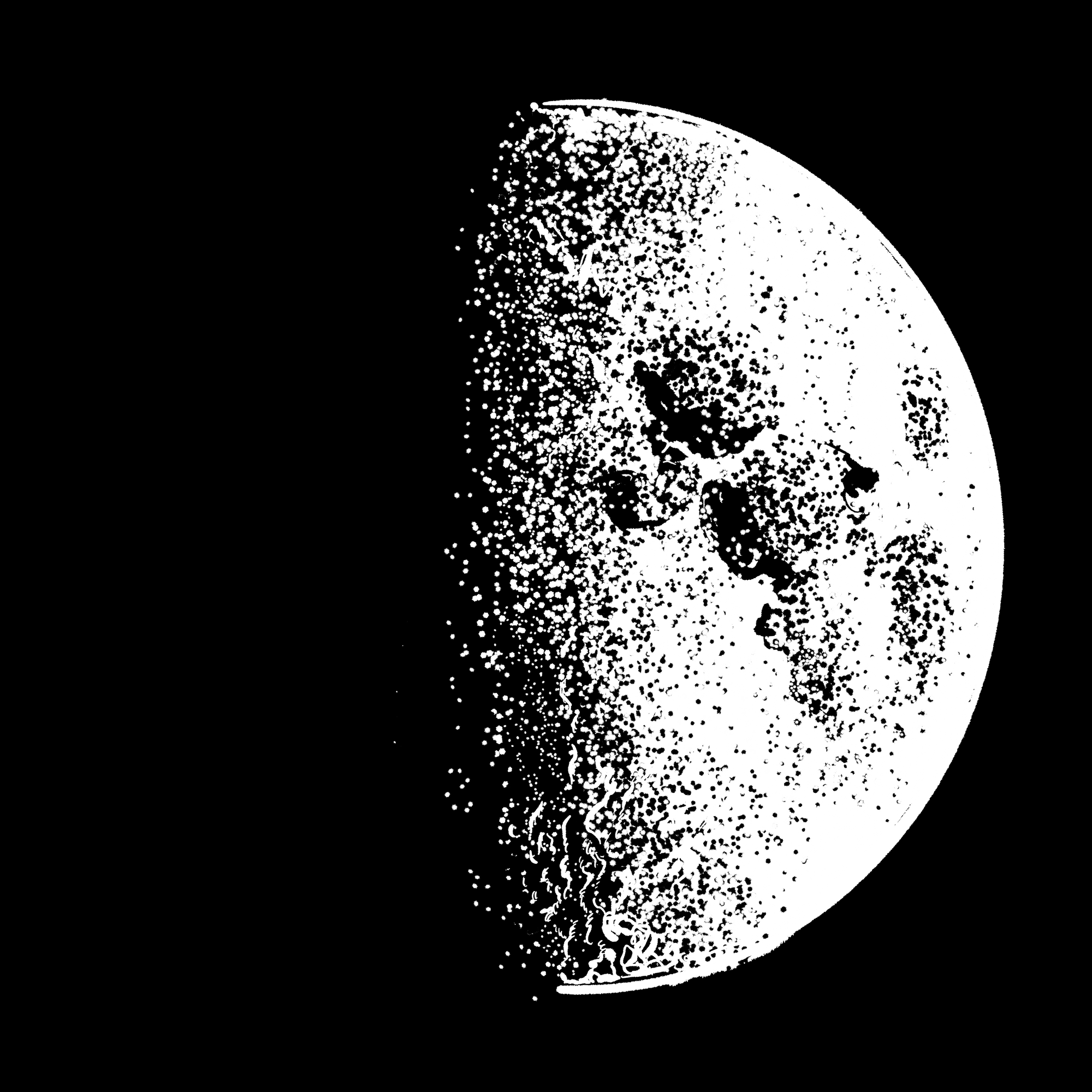 A quarter moon in a black sky