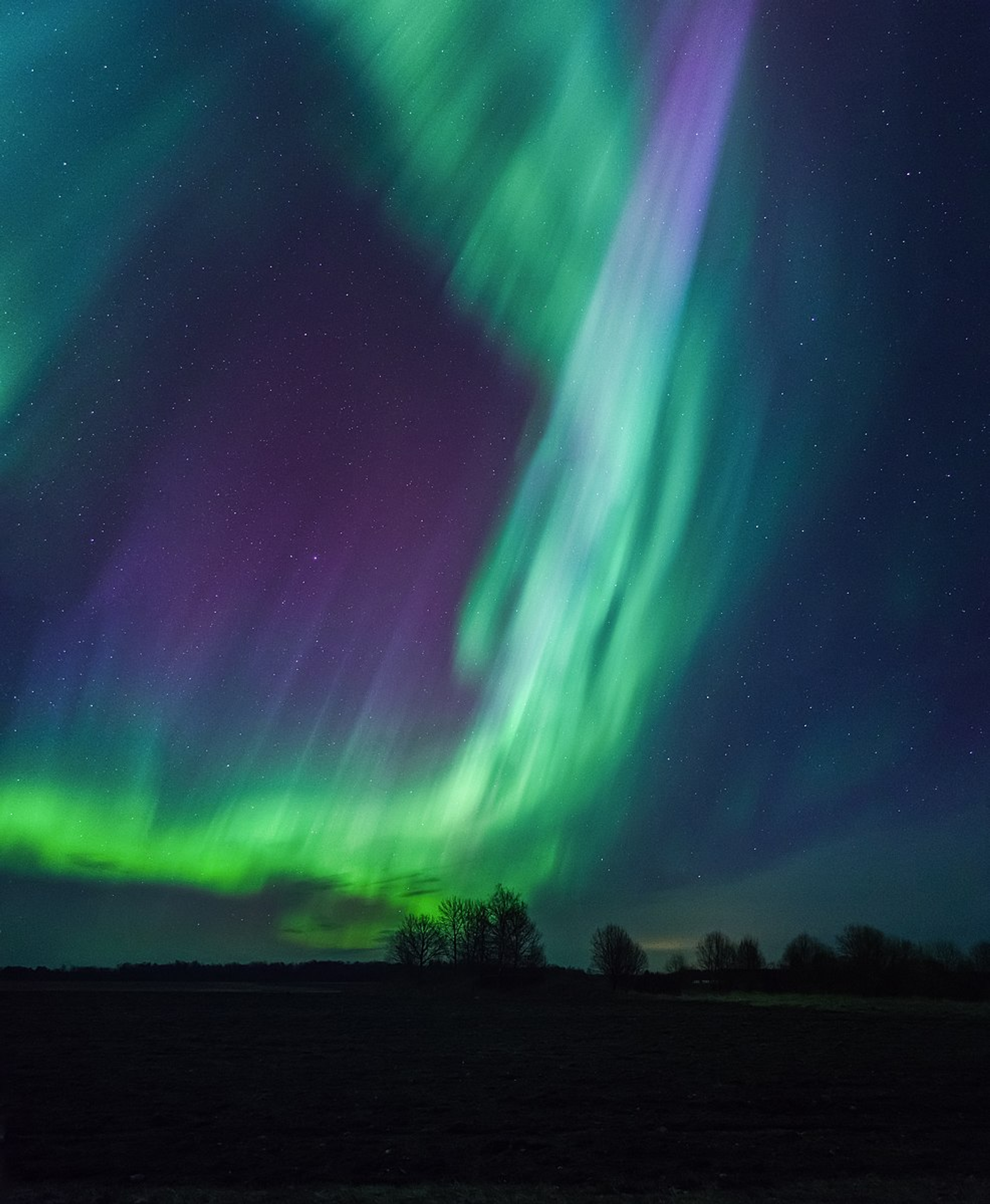 Aurora Borealis with green and purple light in the night sky