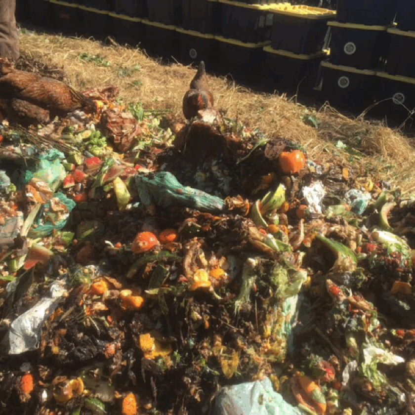 rotating image of a sign that says "compost", rotting vegetables and finished compost