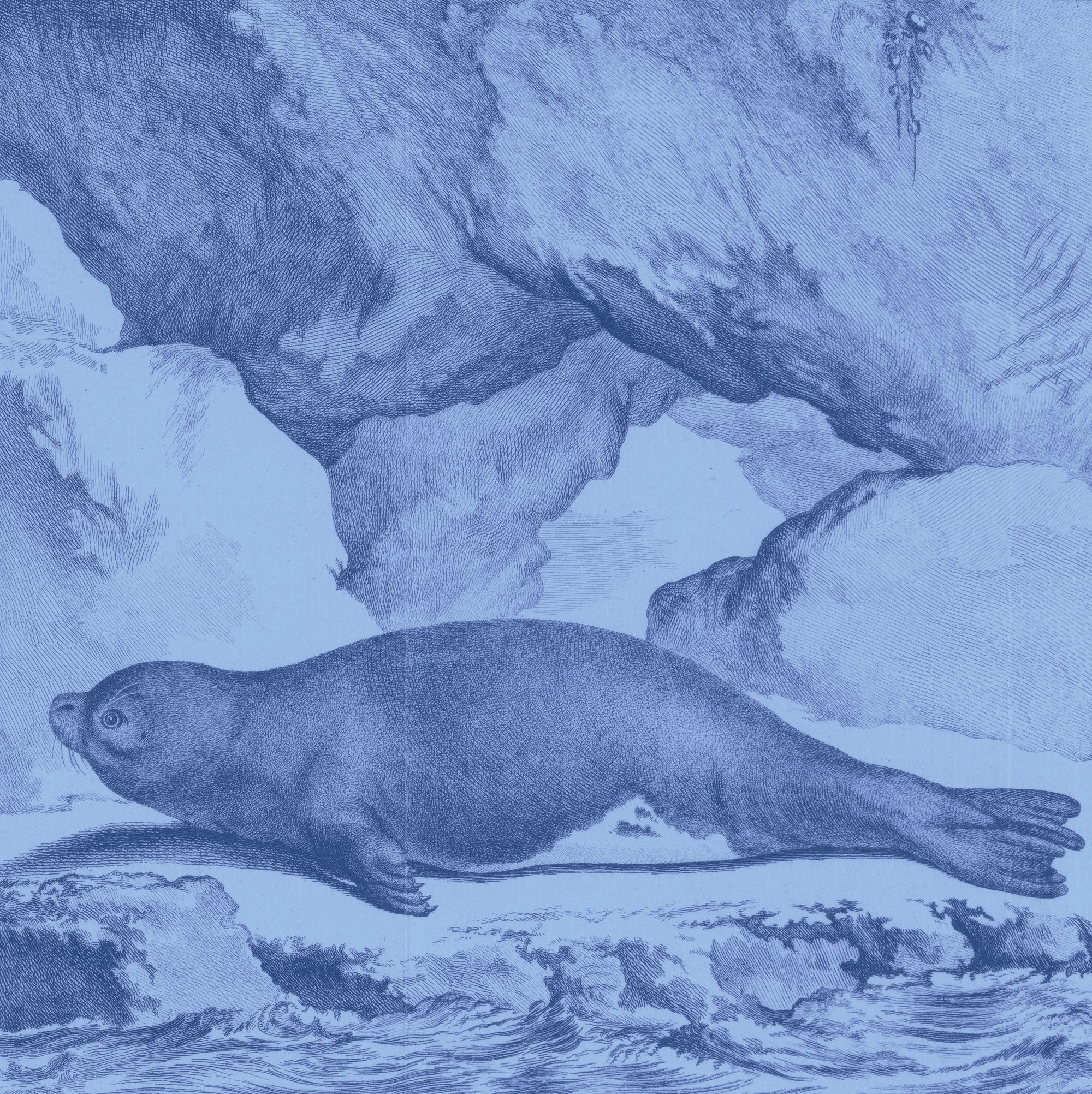 A woodcut illustration of a seal