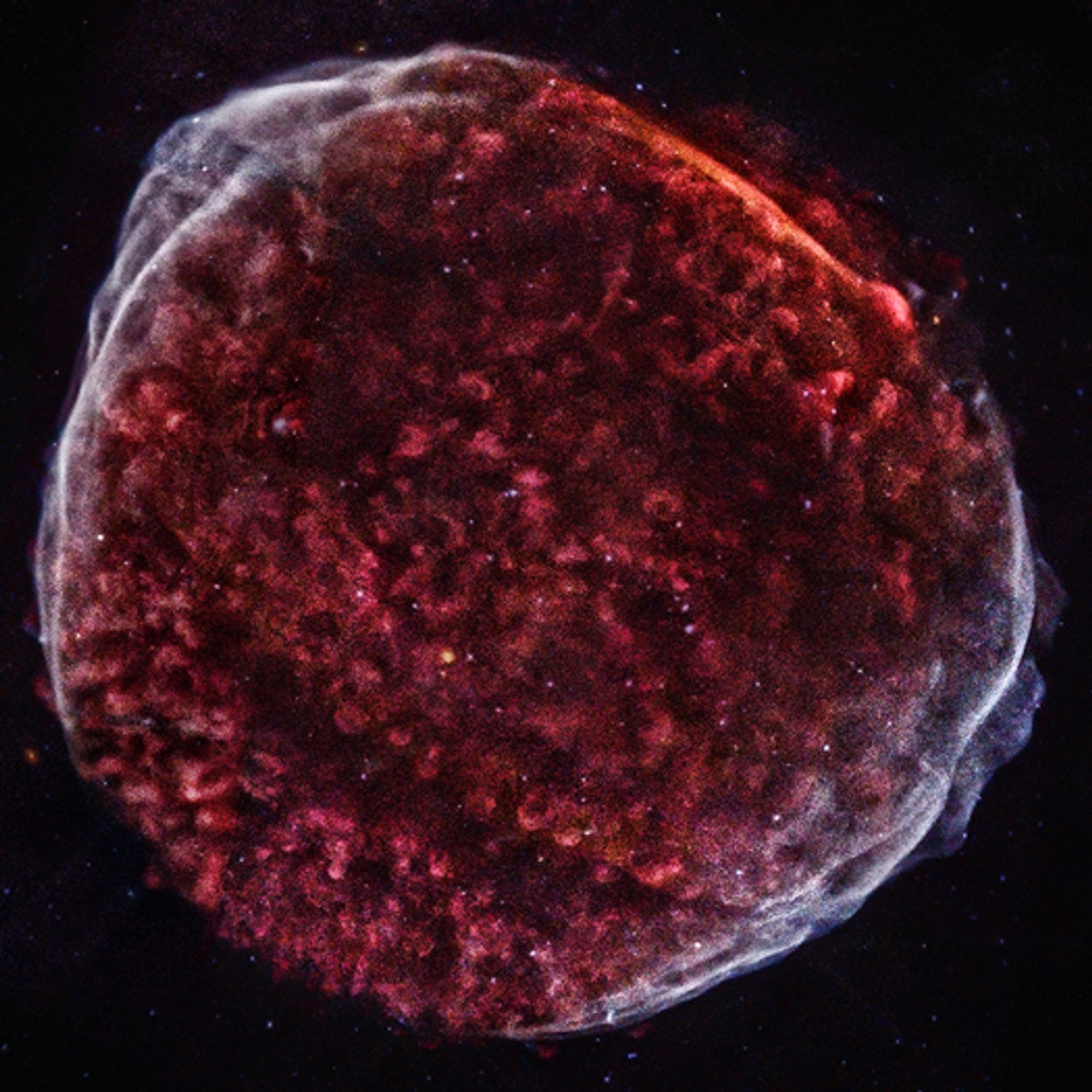 False-color X-ray image of SN 1006 supernova remnant