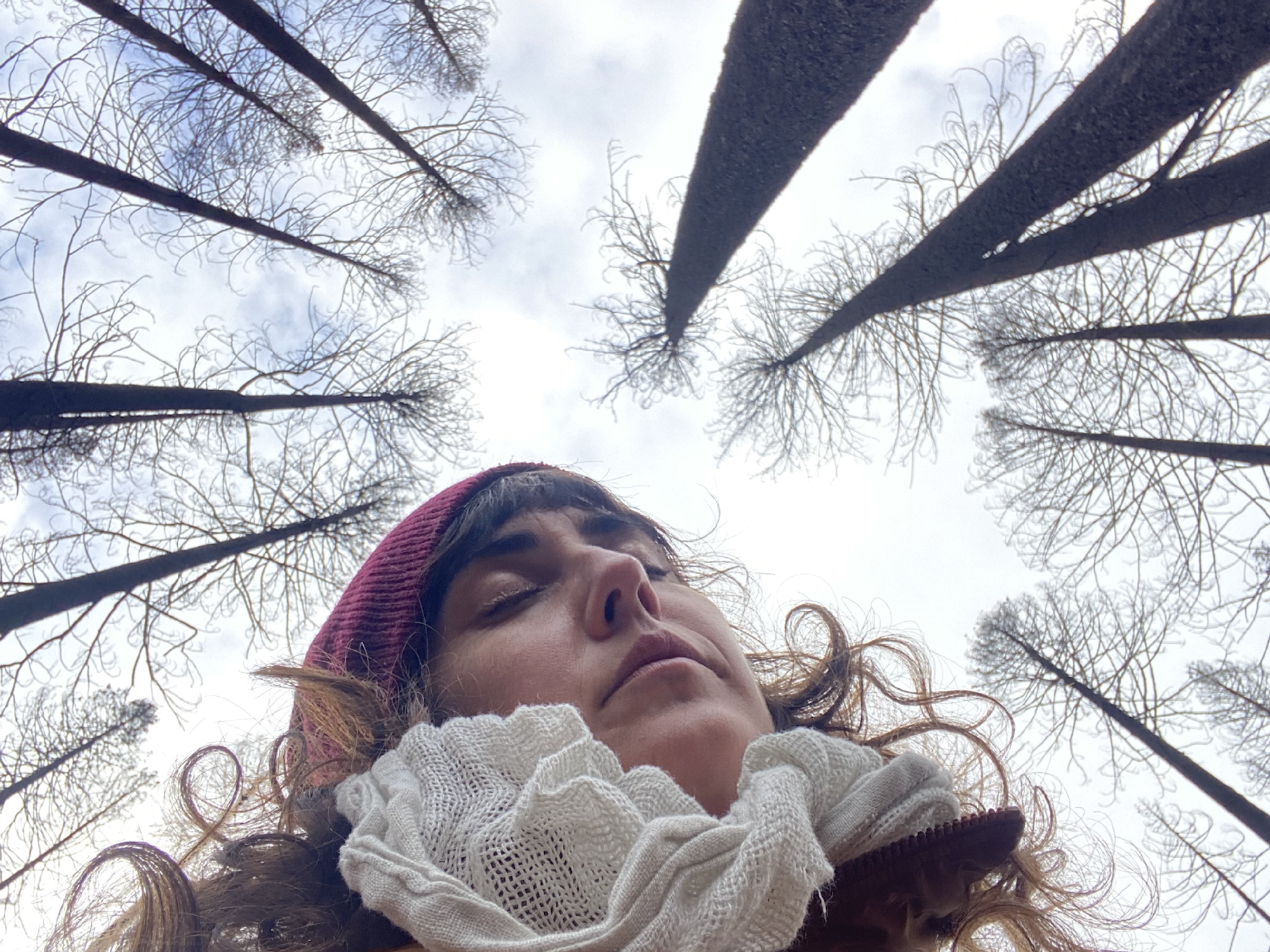 A woman with her eyes closed and her face cocked towards the side, surrounded on all sides by burned trees which resemble a crown of sorts around her head.