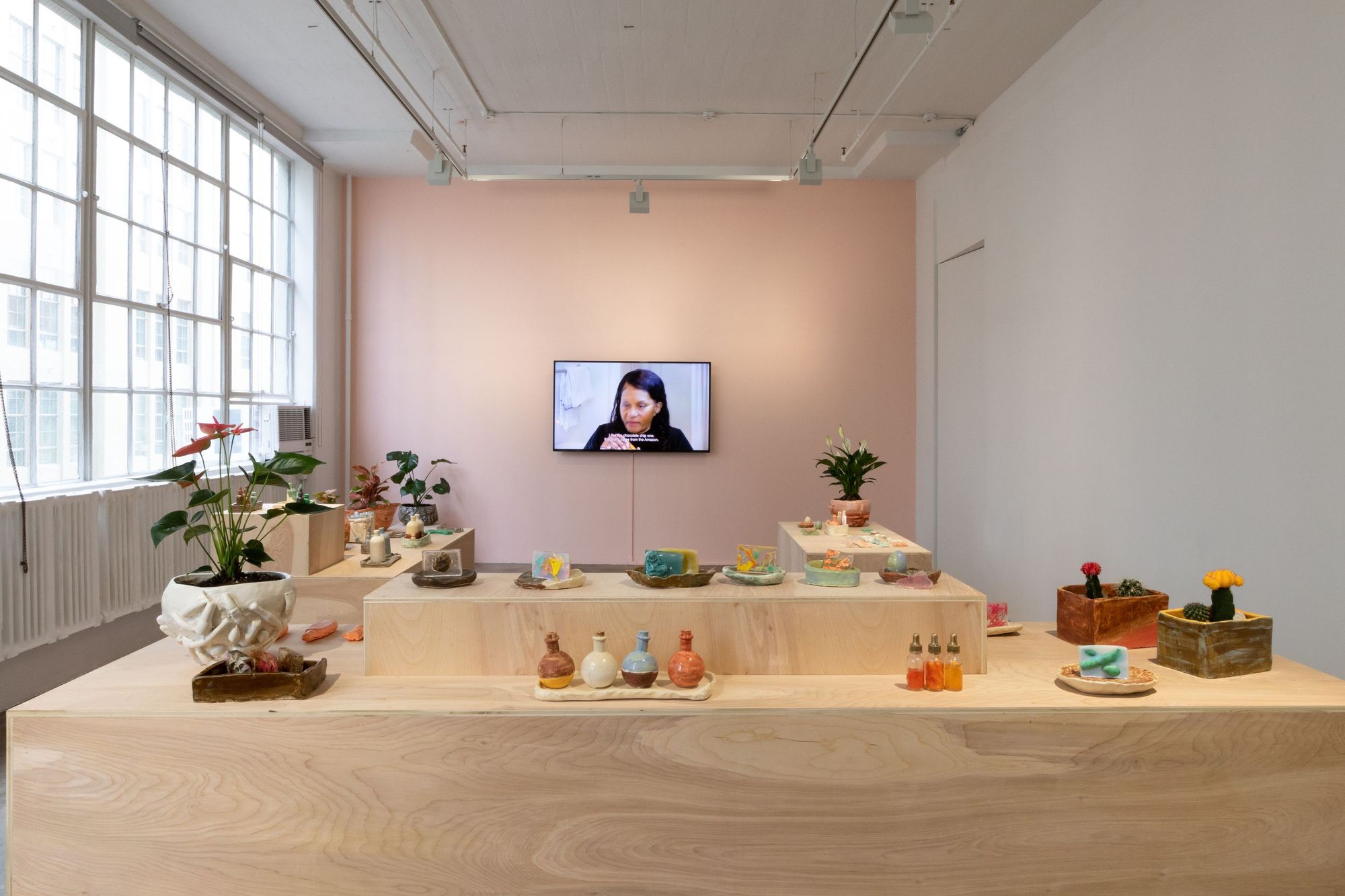 Installation view of Ilana Harris-Babou, "Decision Fatigue," Hesse Flatow, February 20 - May 16, 2020. Courtesy of the artist and Hesse Flatow.