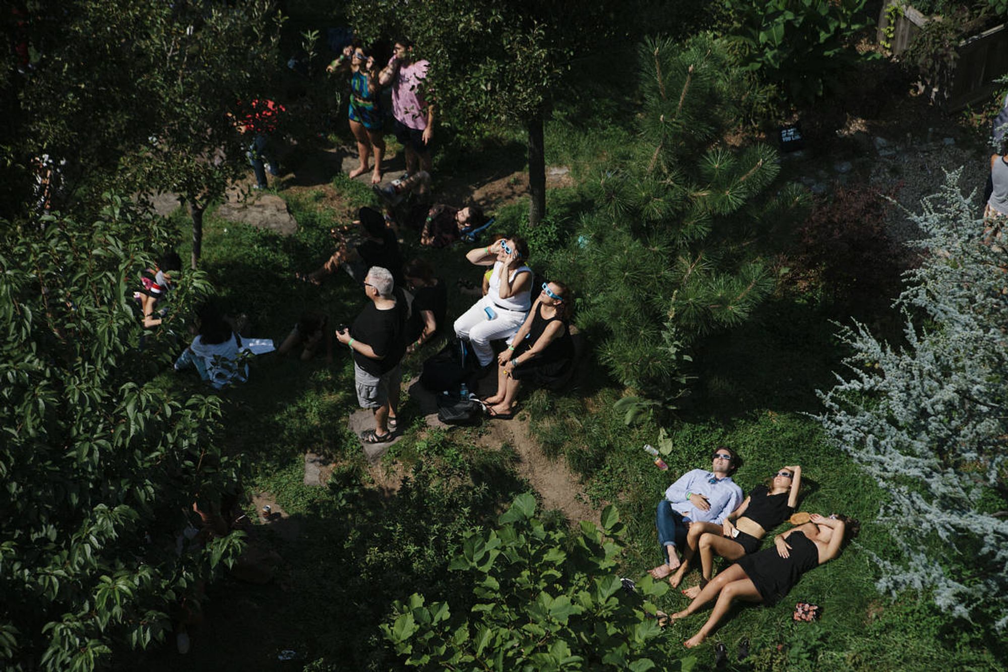 People gazing at a solar eclipse from the garden