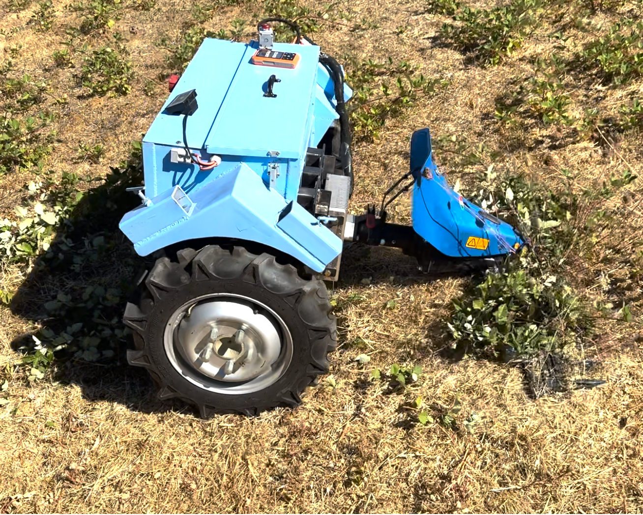 Greenhouse interior with thriving green plants