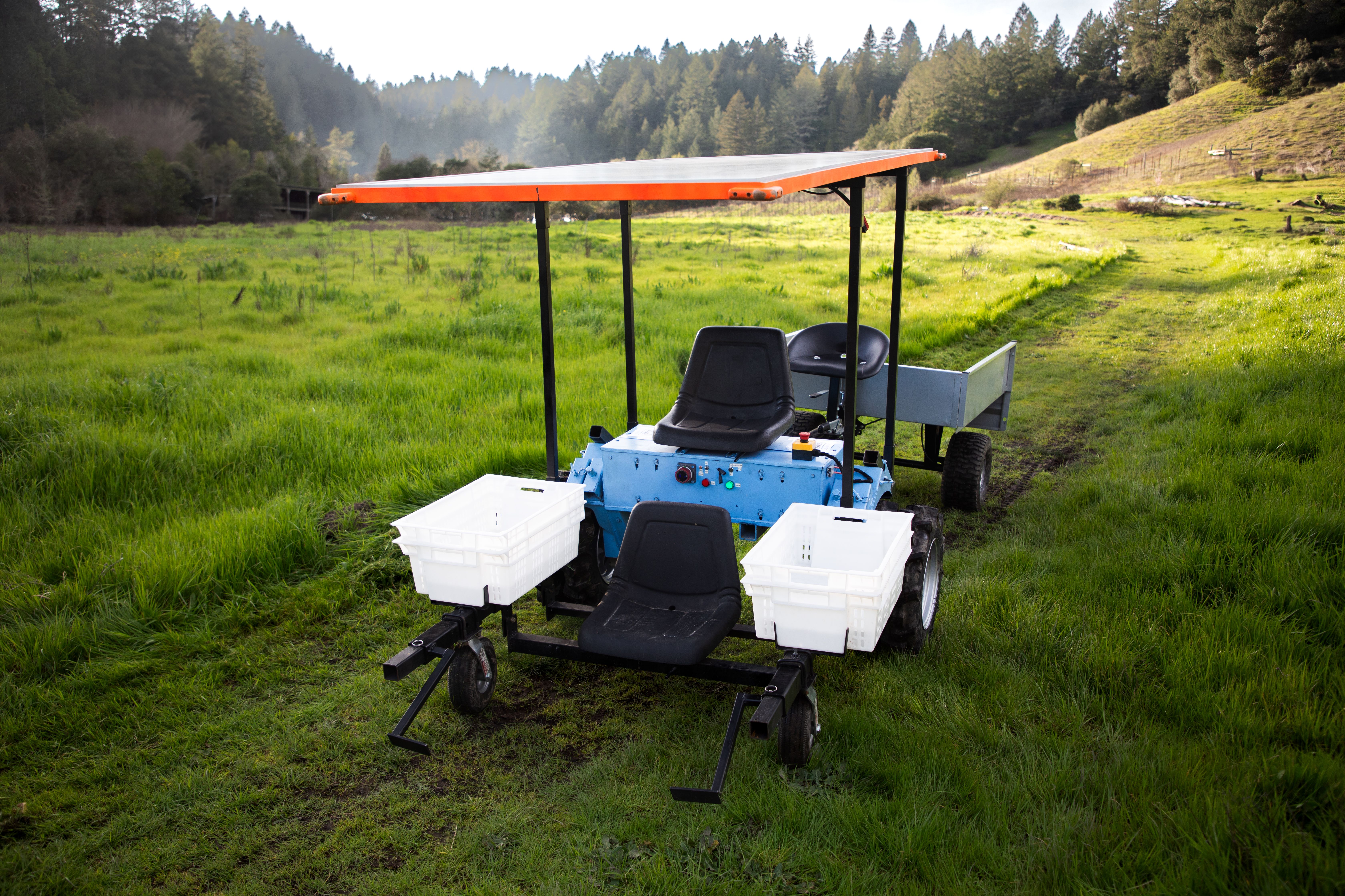 Greenhouse interior with thriving green plants
