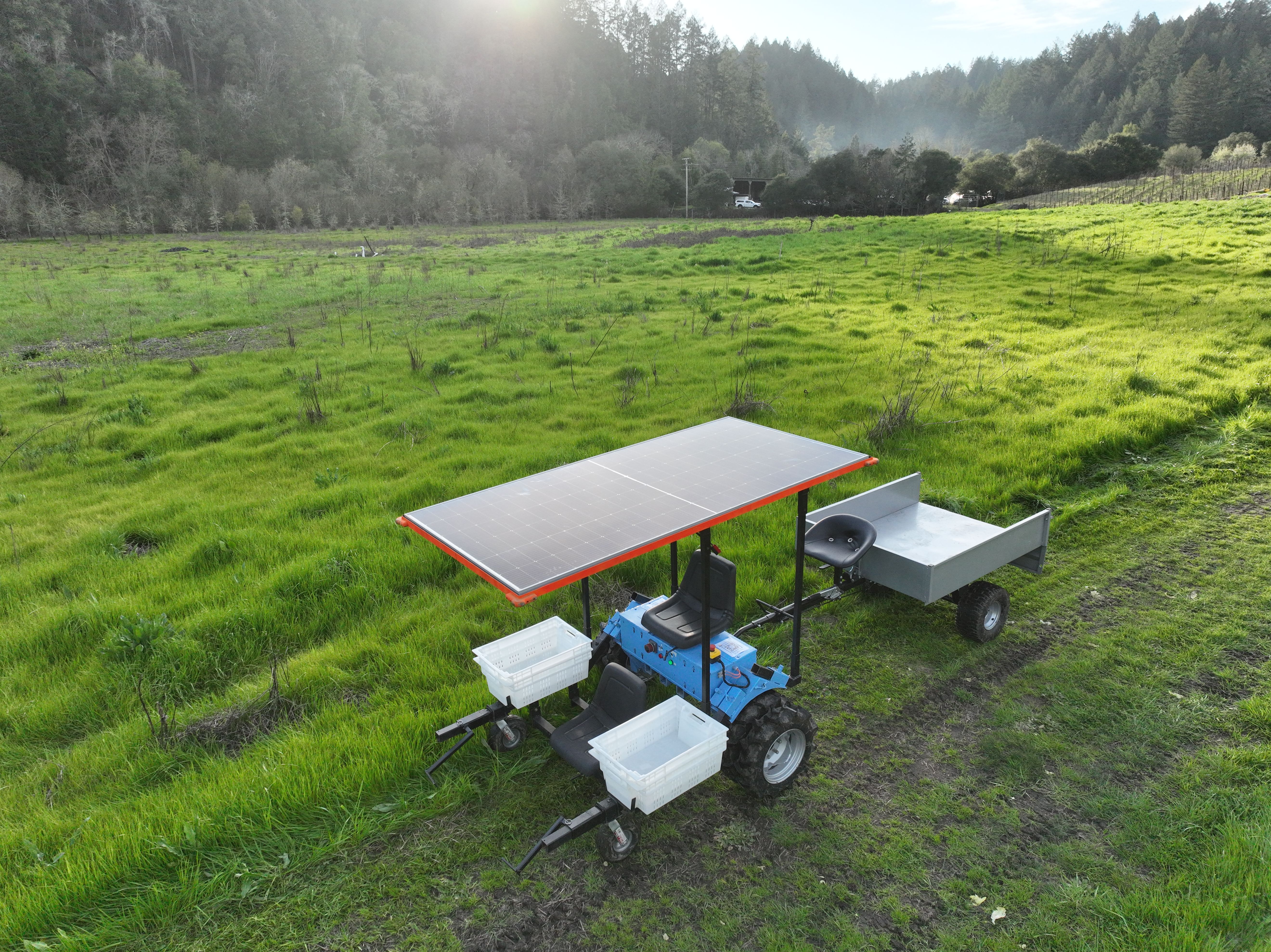 Greenhouse interior with thriving green plants