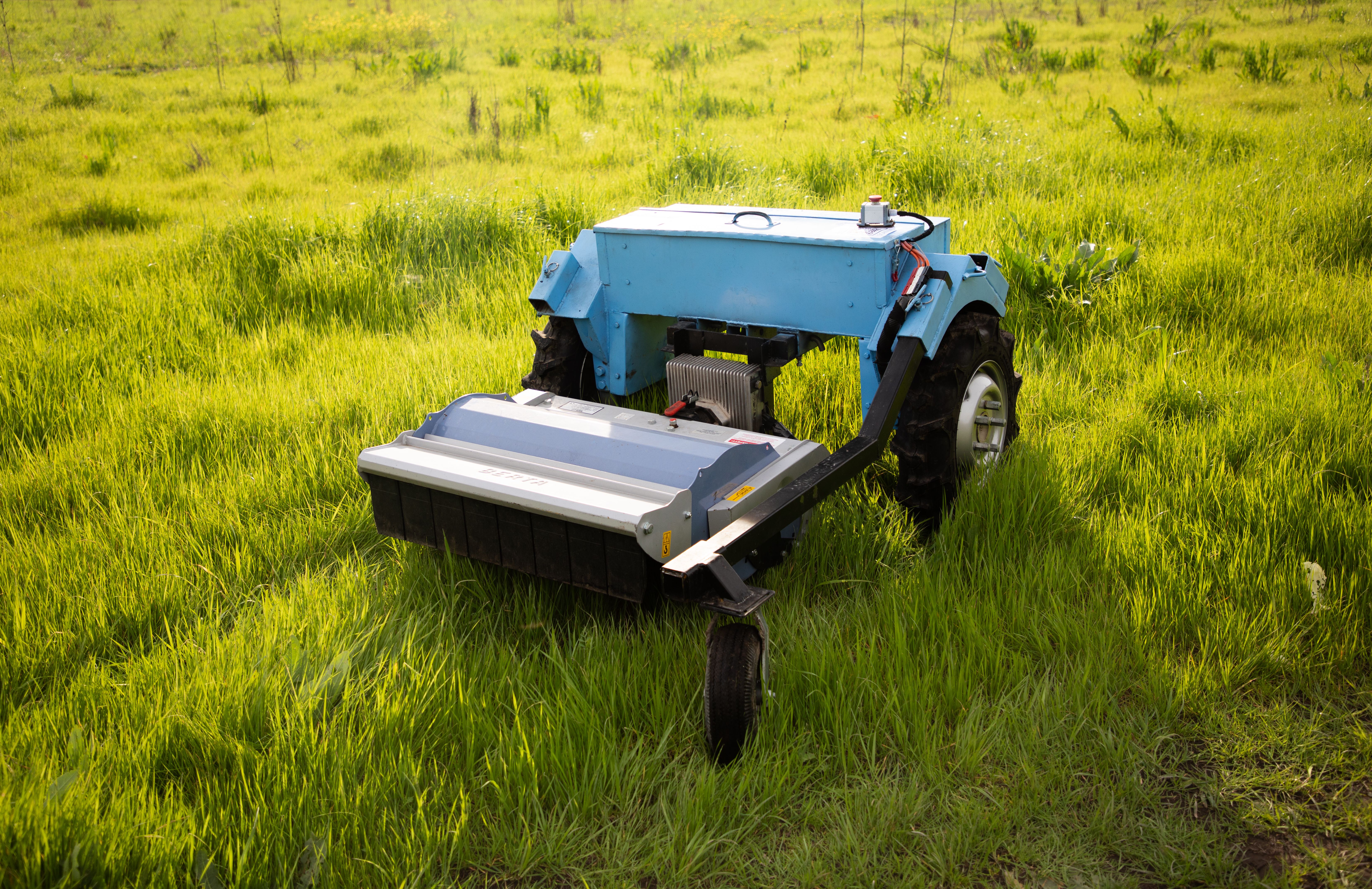 Greenhouse interior with thriving green plants